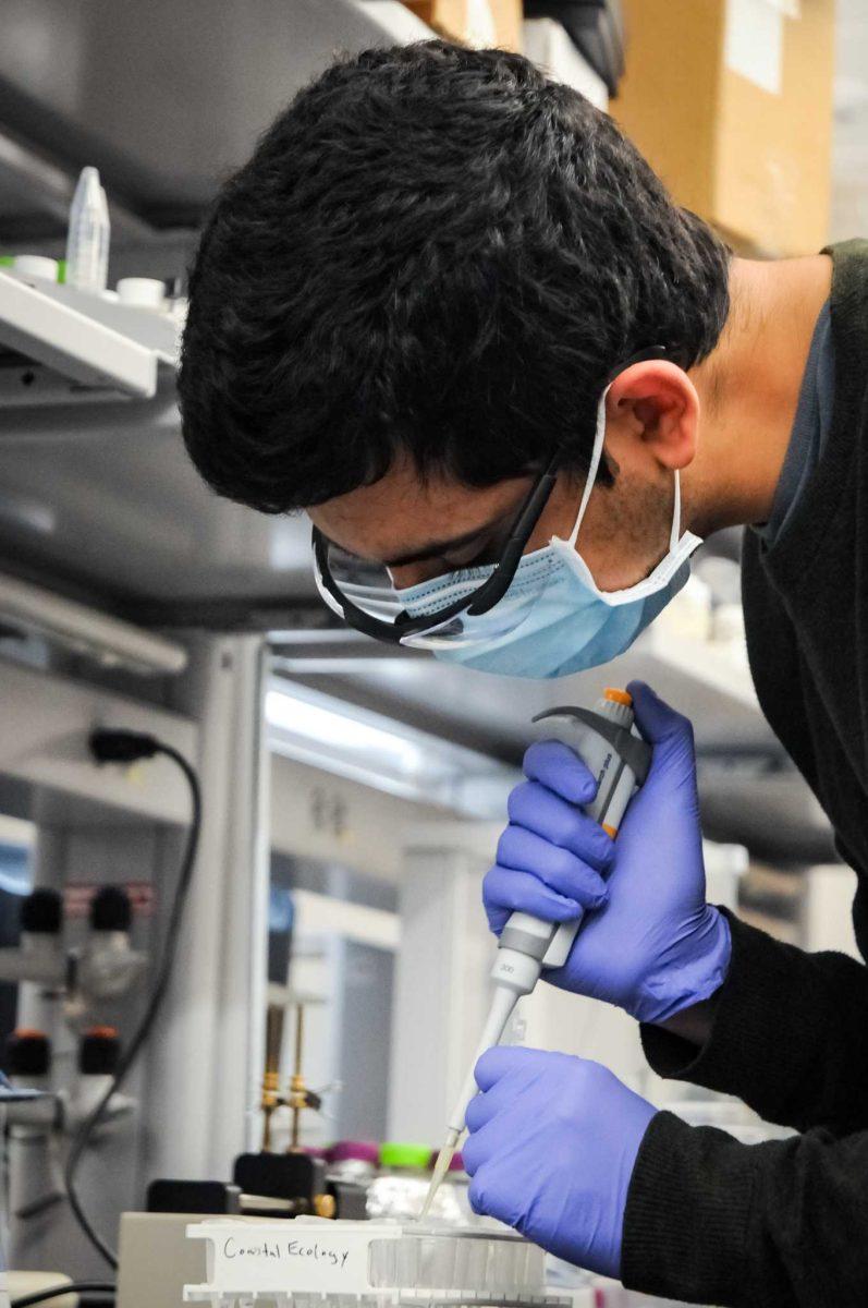 LSU third year PHd student Ahmed Al Harraq mixes particle suspensions and chemicals on Friday, Oct. 30, 2020 at Patrick F. Taylor Hall on South Quad Drive.