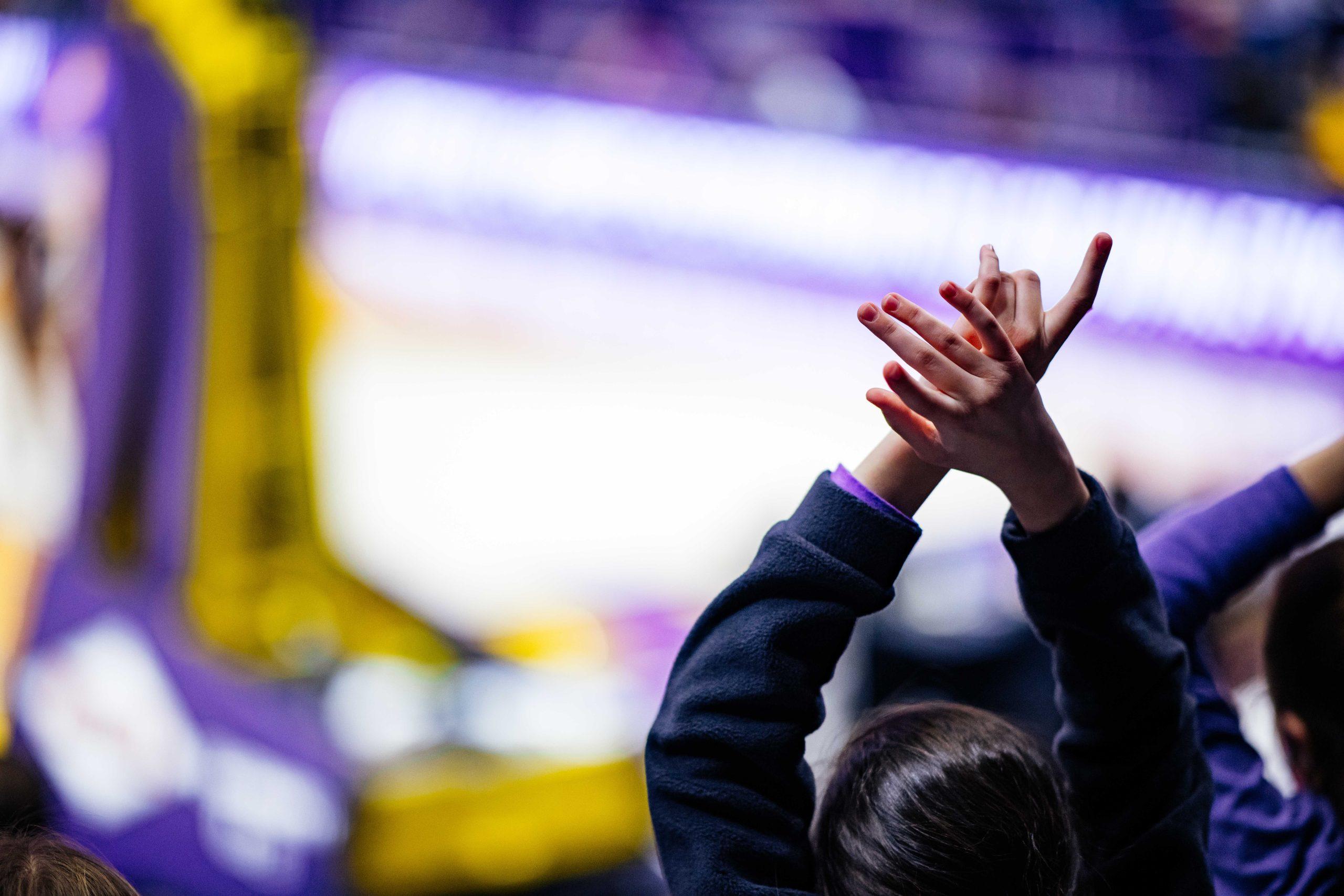 PHOTOS: LSU men's basketball defeats South Carolina