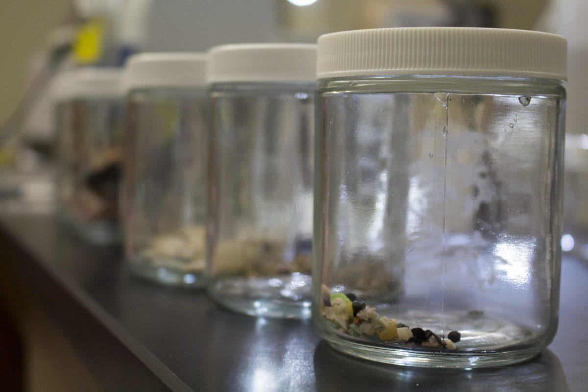 Samples from plastic in the ocean are collected and sorted in jars at the University's Energy, Coast and Environment Building on Sept. 18, 2017.