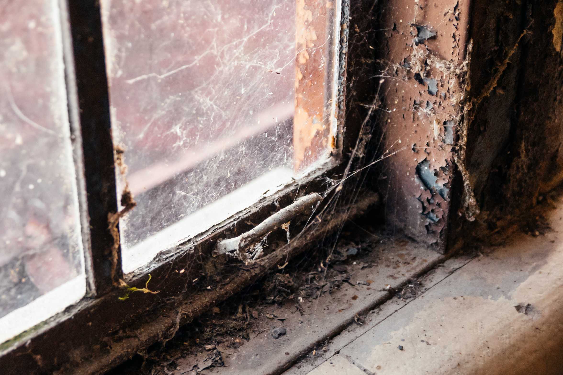 PHOTOS: A glimpse inside the soon-to-be renovated Huey P. Long Field House