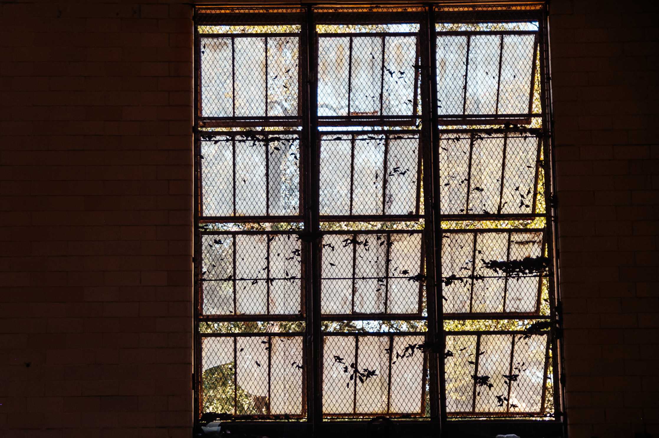 PHOTOS: A glimpse inside the soon-to-be renovated Huey P. Long Field House