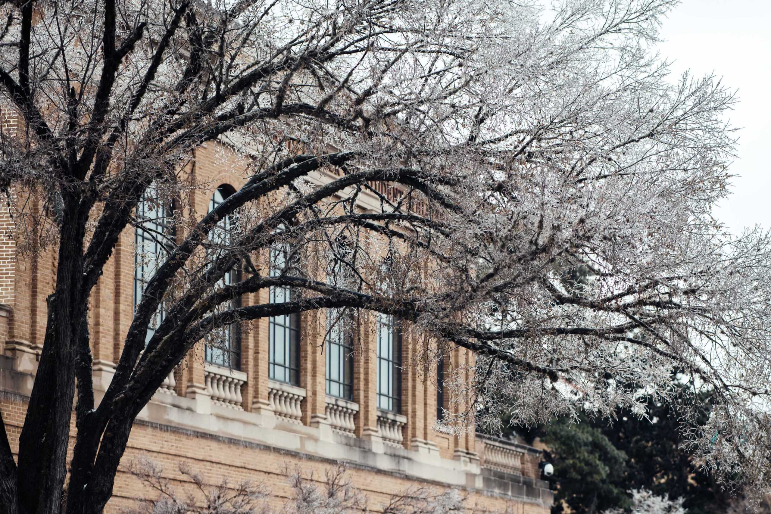 PHOTOS: LSU cancels school Monday due to winter weather mix