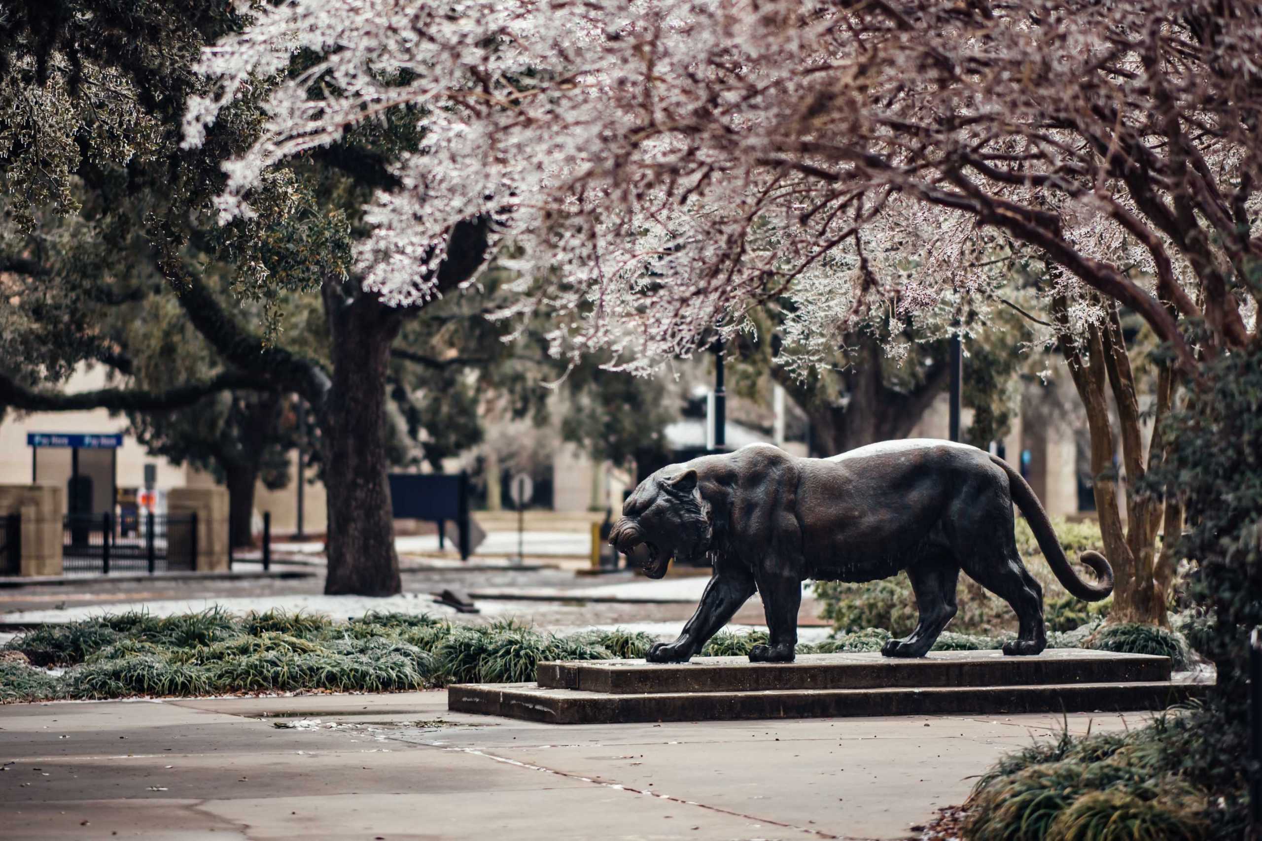 PHOTOS: LSU cancels school Monday due to winter weather mix