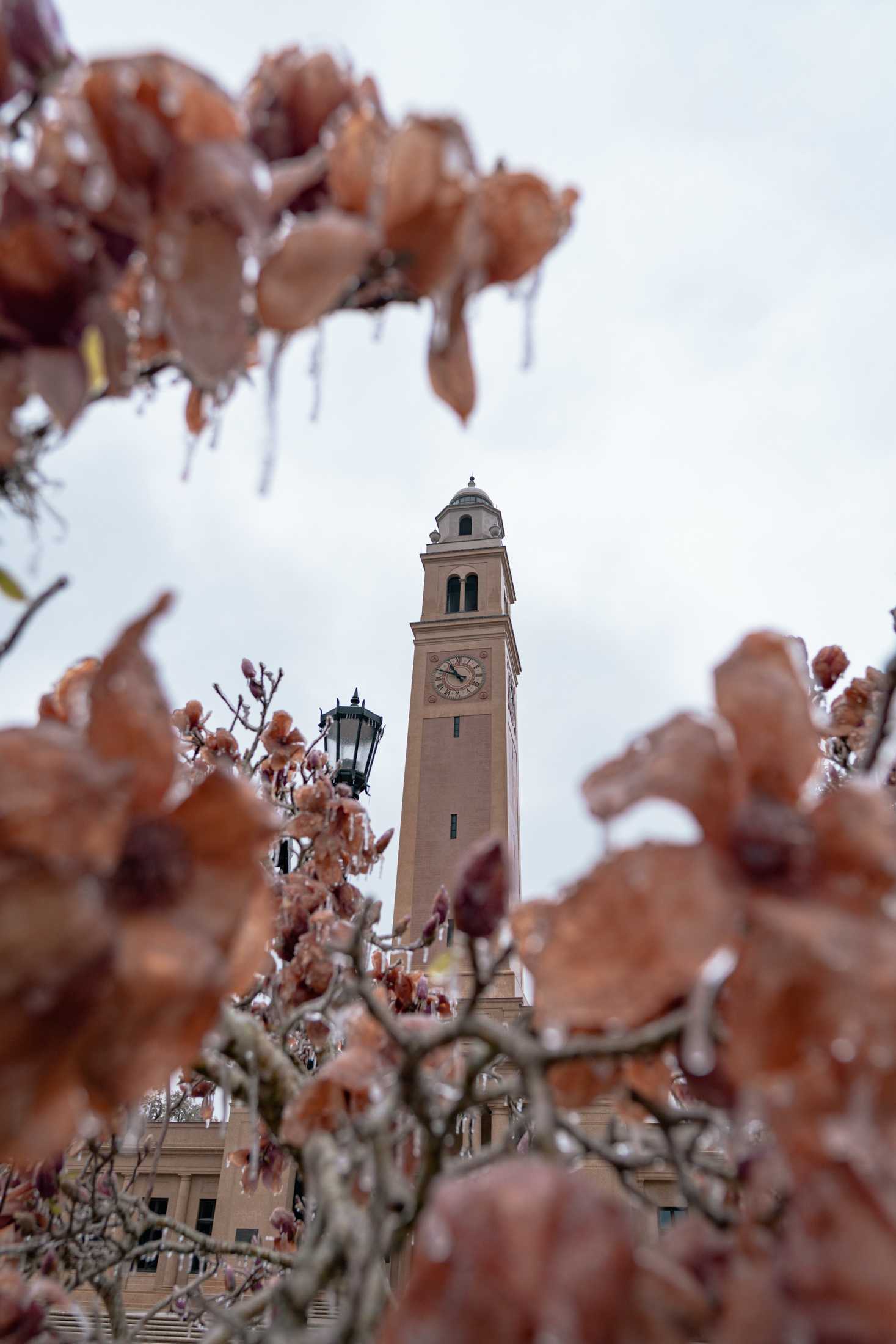 PHOTOS: LSU cancels school Monday due to winter weather mix