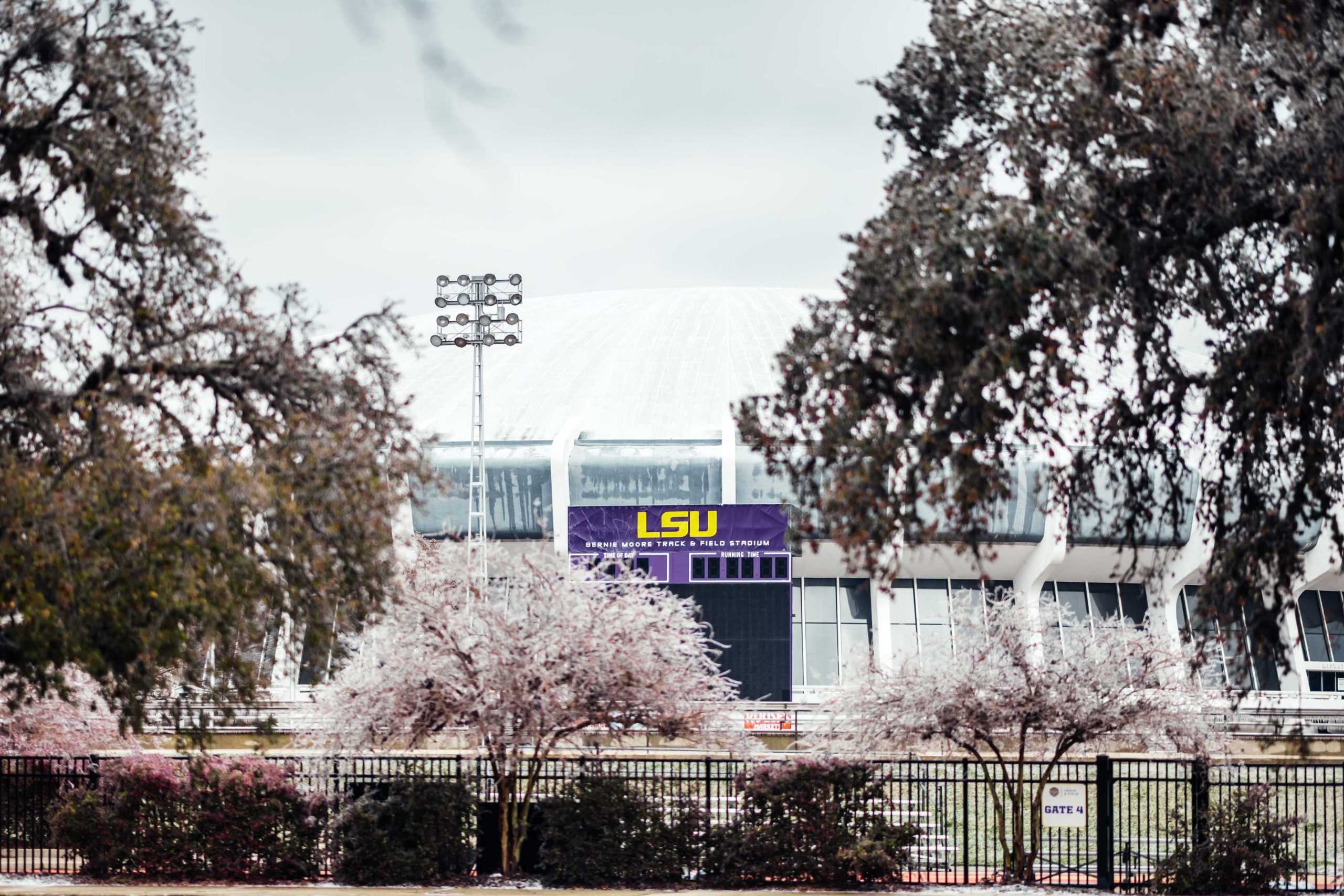 PHOTOS: LSU cancels school Monday due to winter weather mix