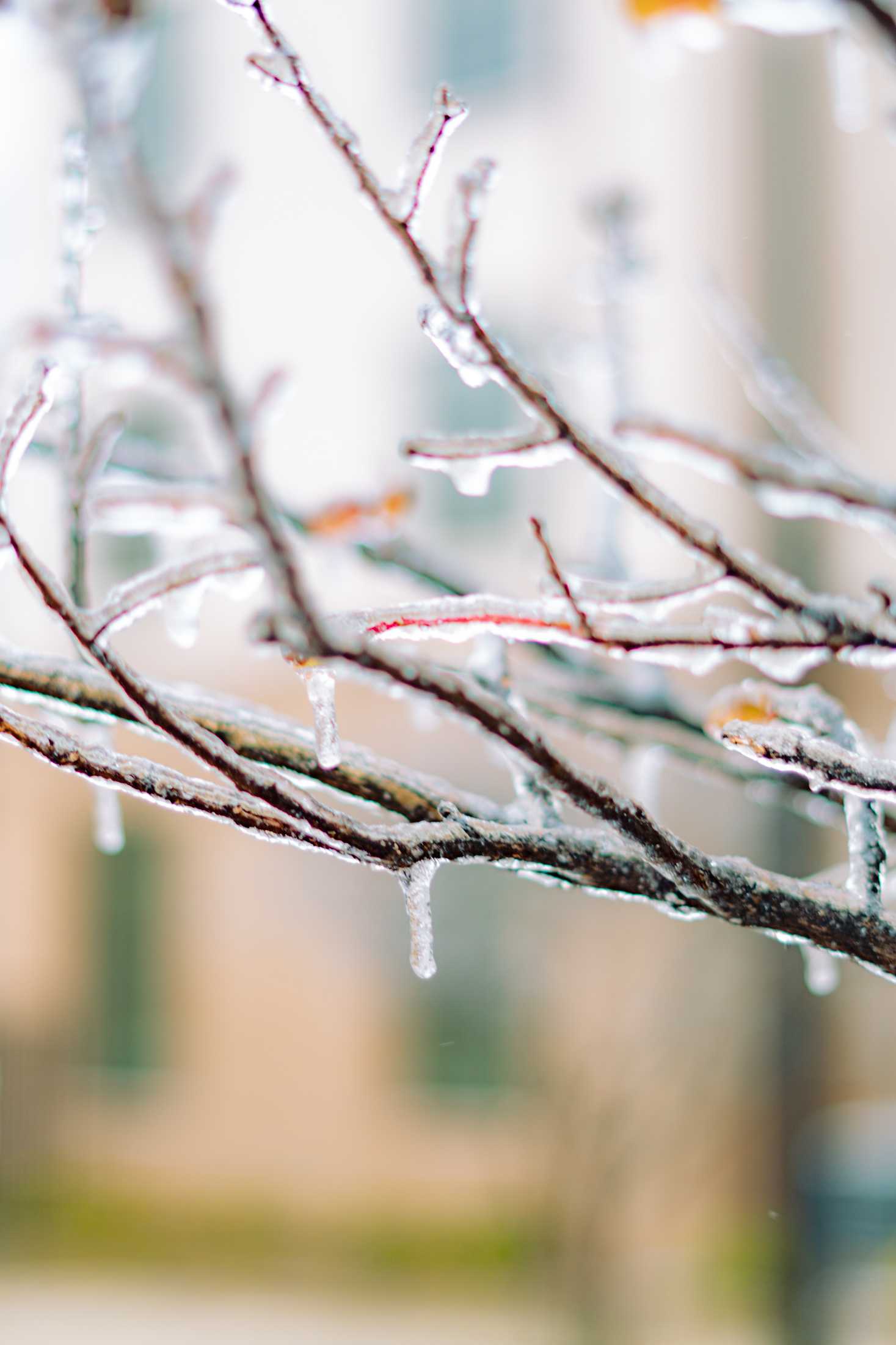 PHOTOS: LSU cancels school Monday due to winter weather mix