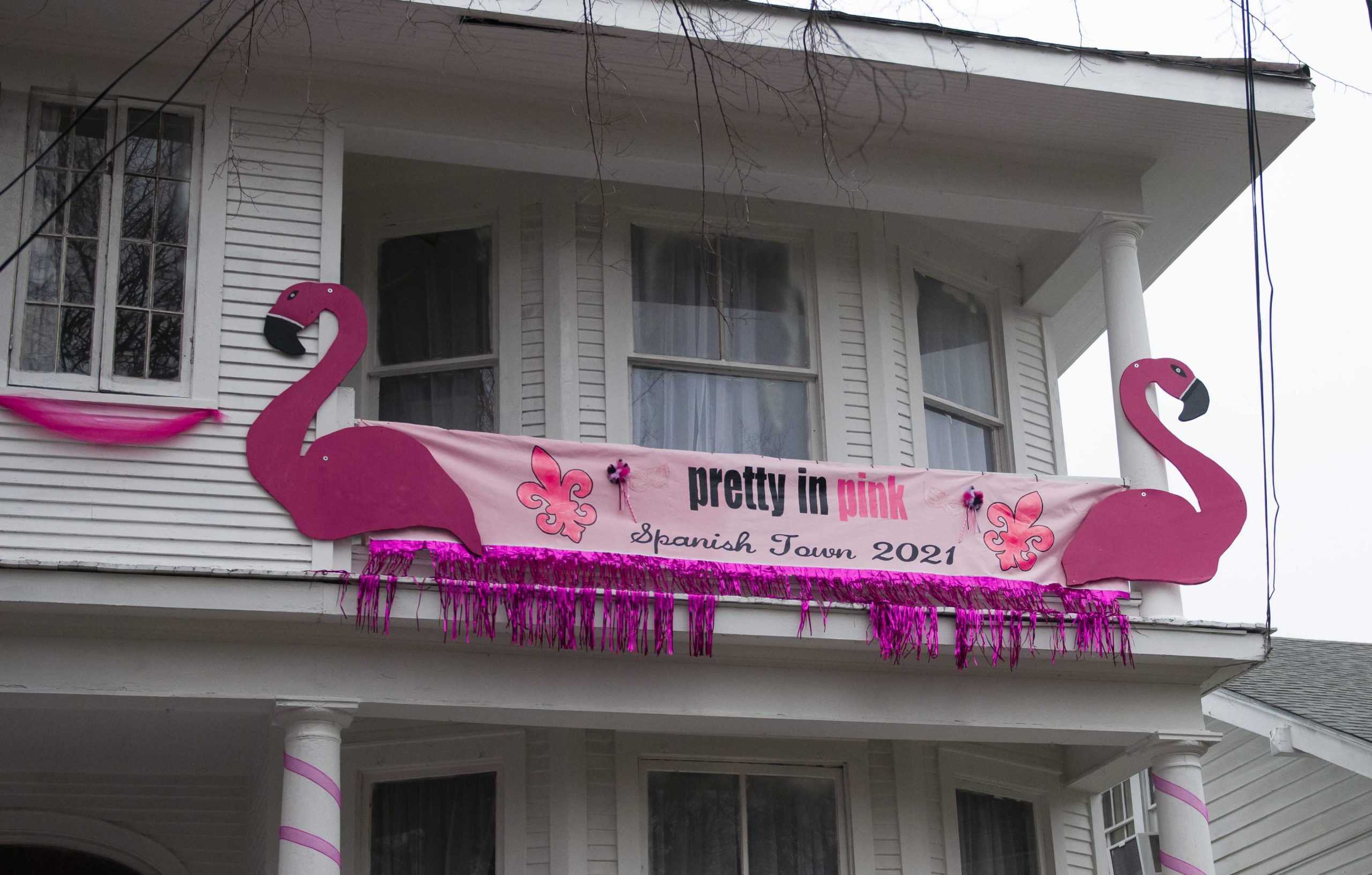 PHOTOS: Spanish Town neighborhood celebrates Mardi Gras with "Pretty in Pink" house decorations