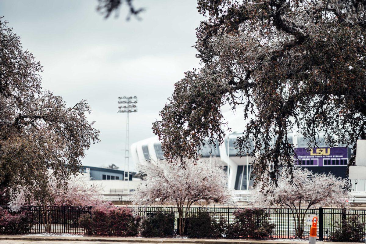 Ice-covered trees sit Monday, Feb. 15, 2021 during the winter weather mix outside of the LSU track and field stadium on Nicholson Drive in Baton Rouge, La.