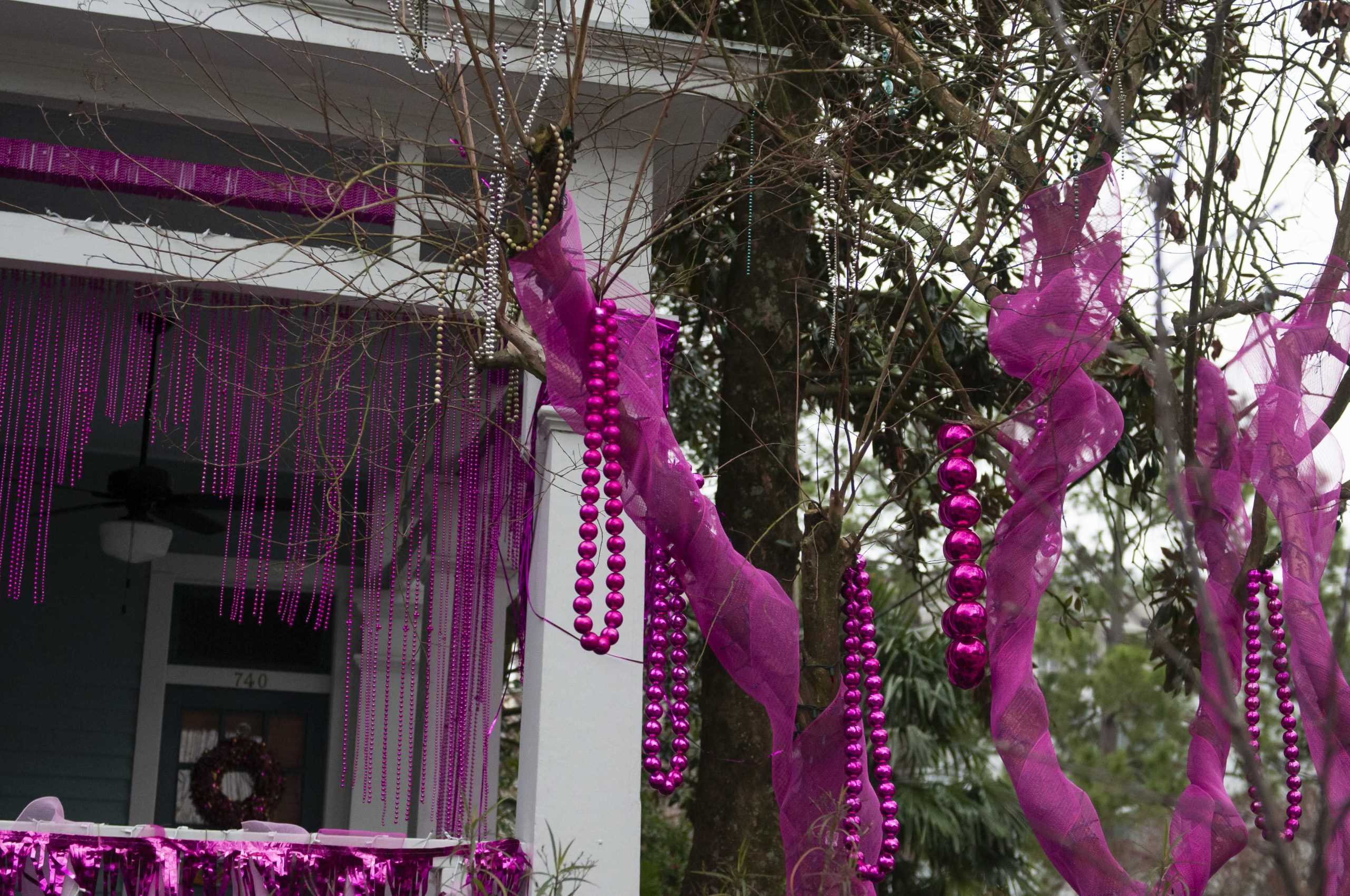 PHOTOS: Spanish Town neighborhood celebrates Mardi Gras with "Pretty in Pink" house decorations