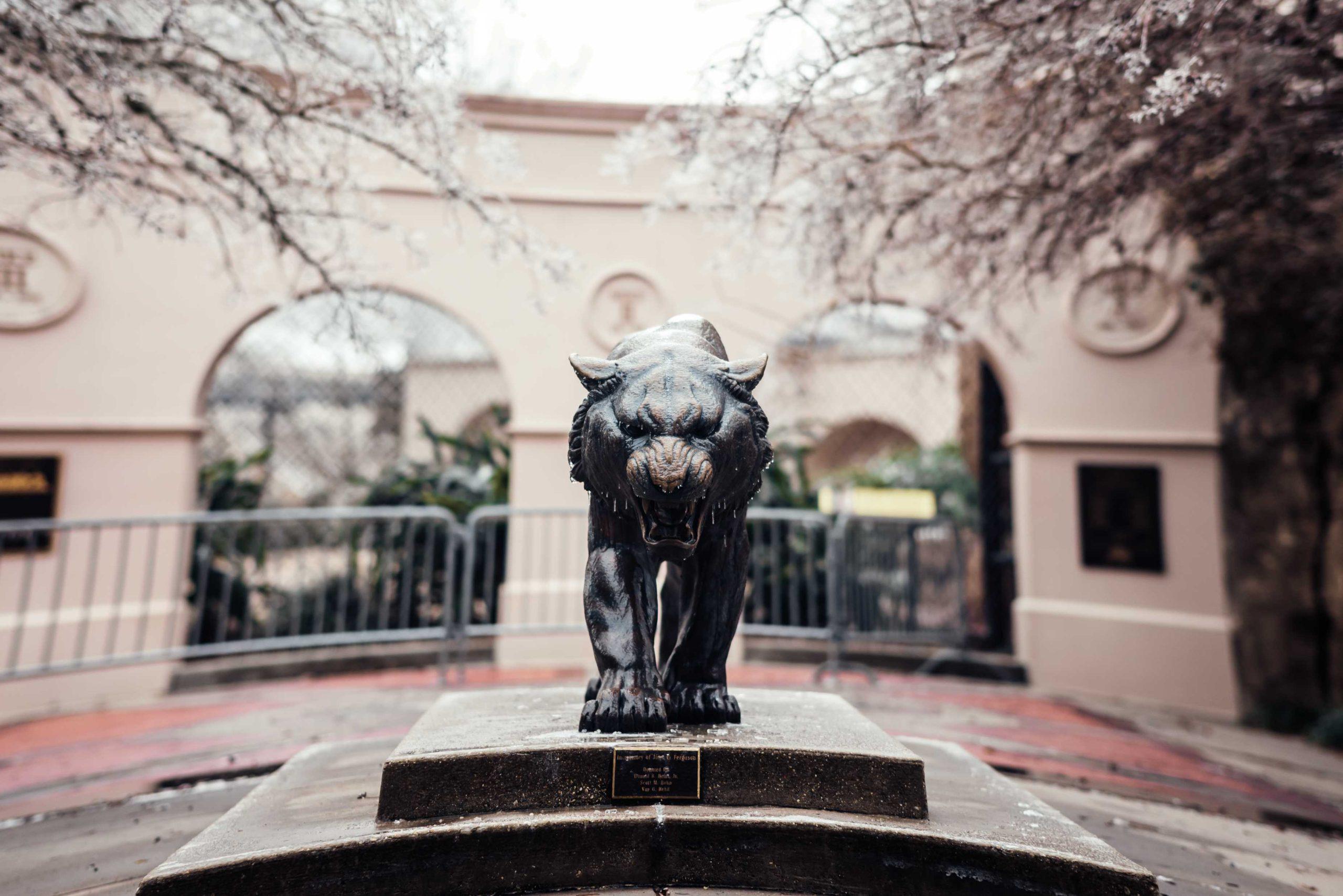 PHOTOS: LSU cancels school Monday due to winter weather mix