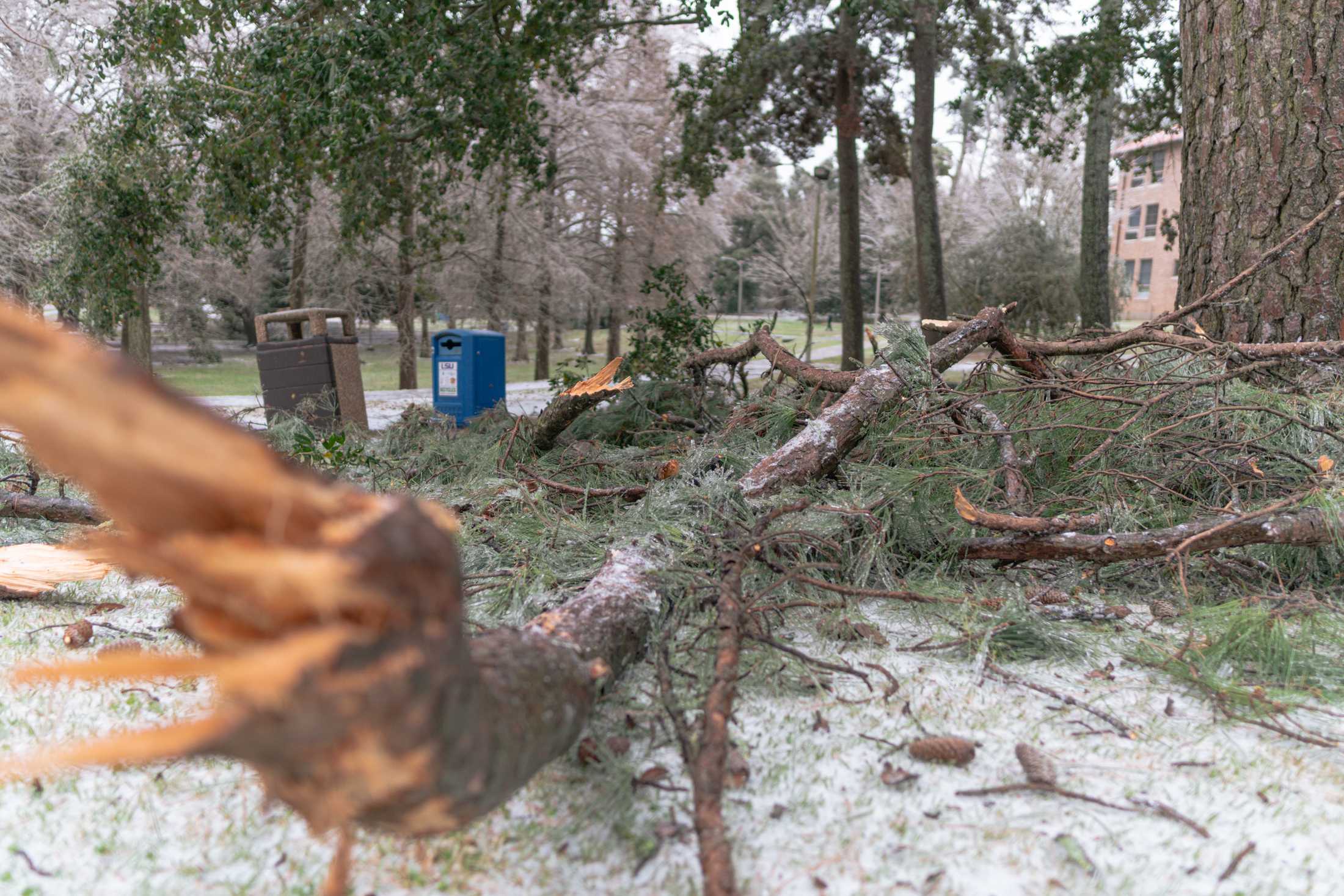 PHOTOS: LSU cancels school Monday due to winter weather mix