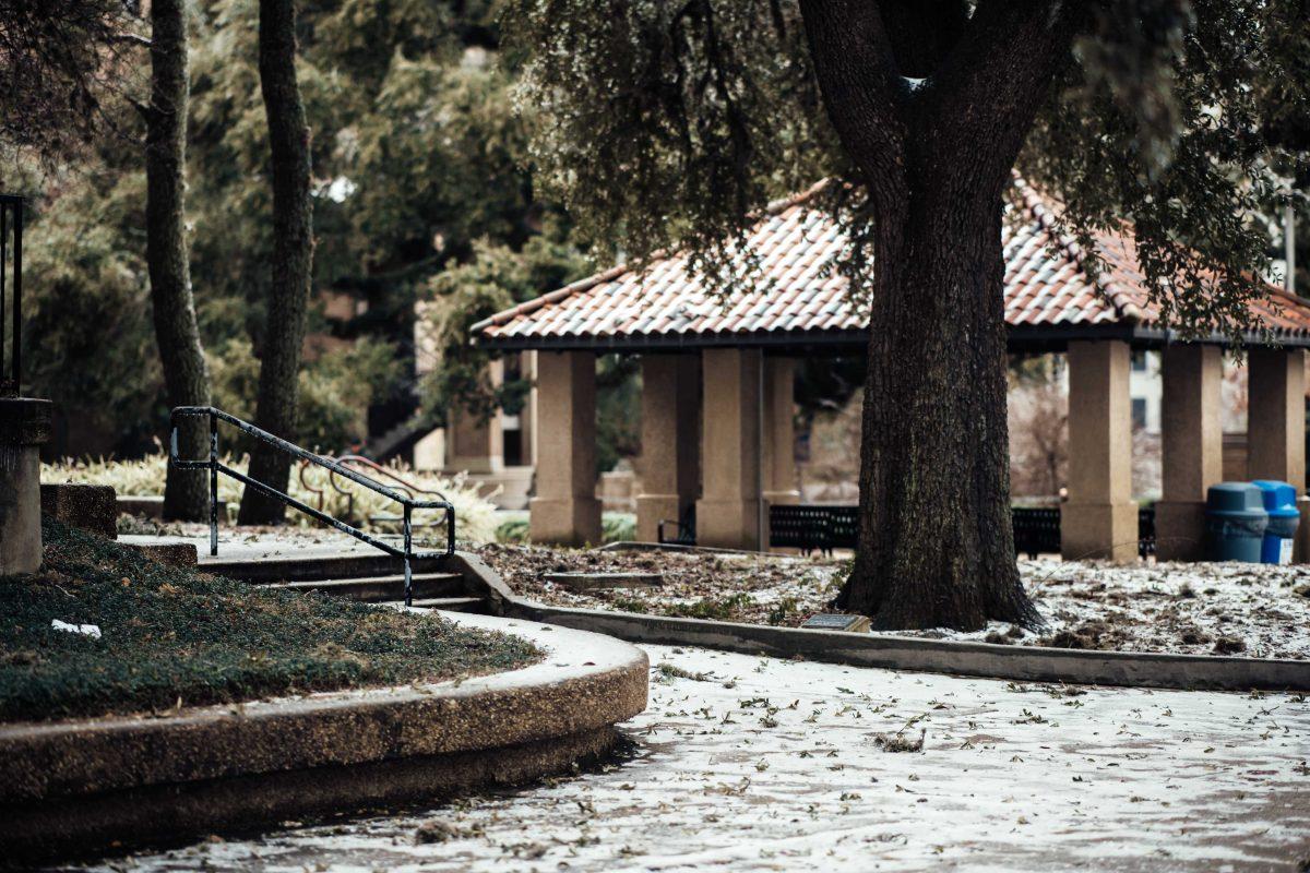 Ice covers the ground Monday, Feb. 15, 2021 during the winter weather mix outside of Lockett Hall on LSU's campus in Baton Rouge, La.