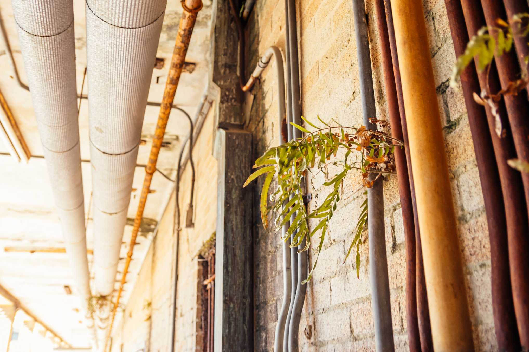 PHOTOS: A glimpse inside the soon-to-be renovated Huey P. Long Field House