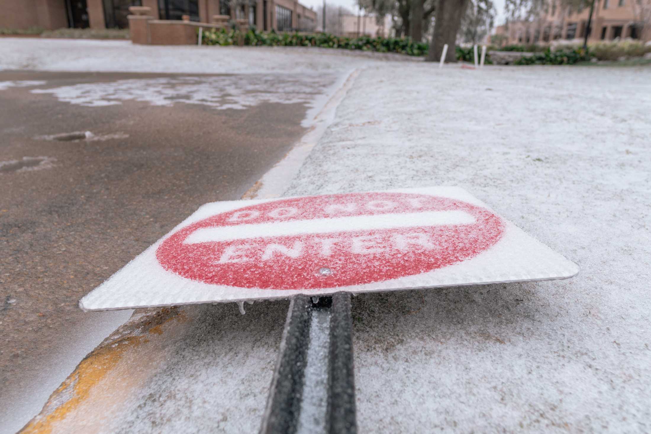 PHOTOS: LSU cancels school Monday due to winter weather mix