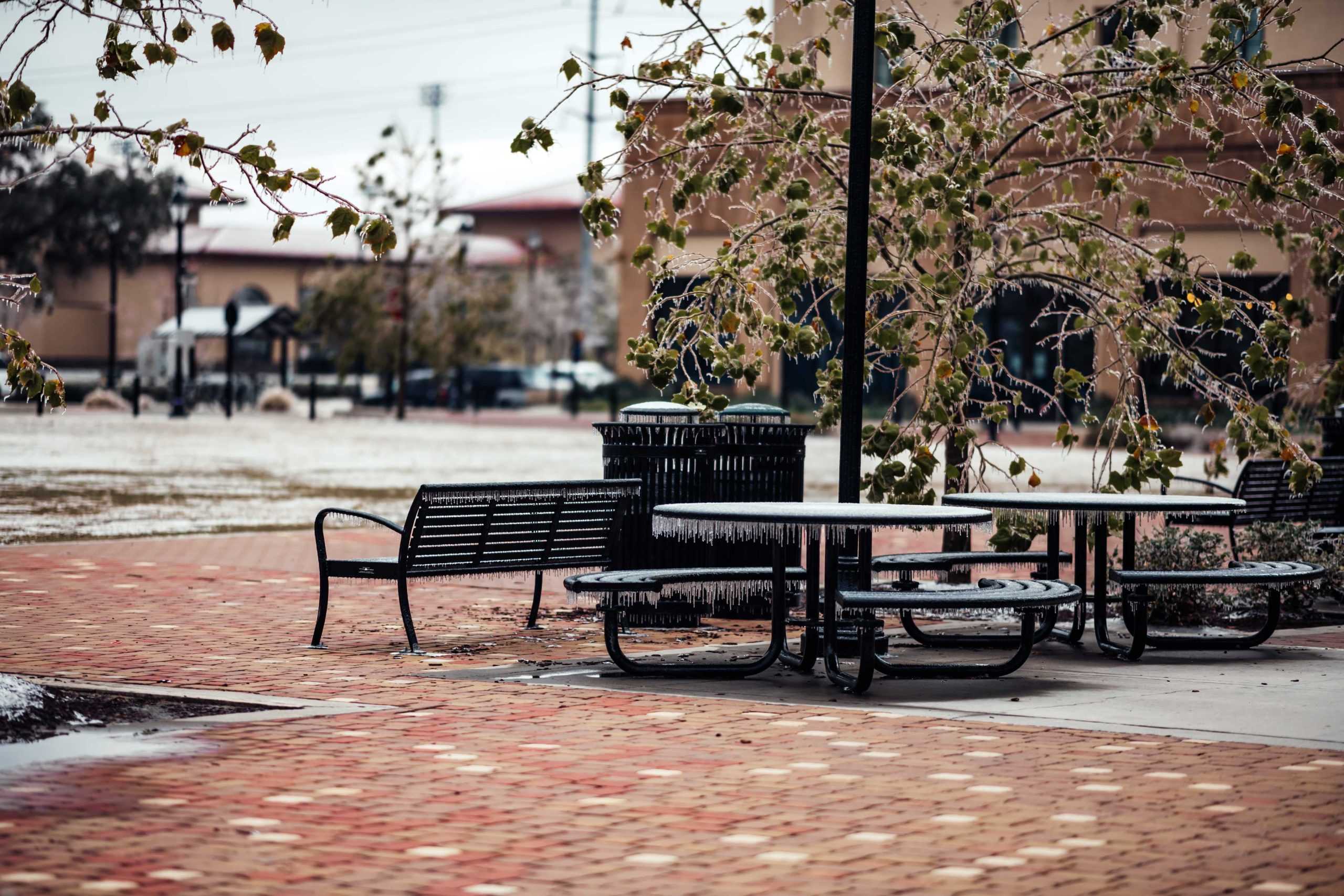 PHOTOS: LSU cancels school Monday due to winter weather mix