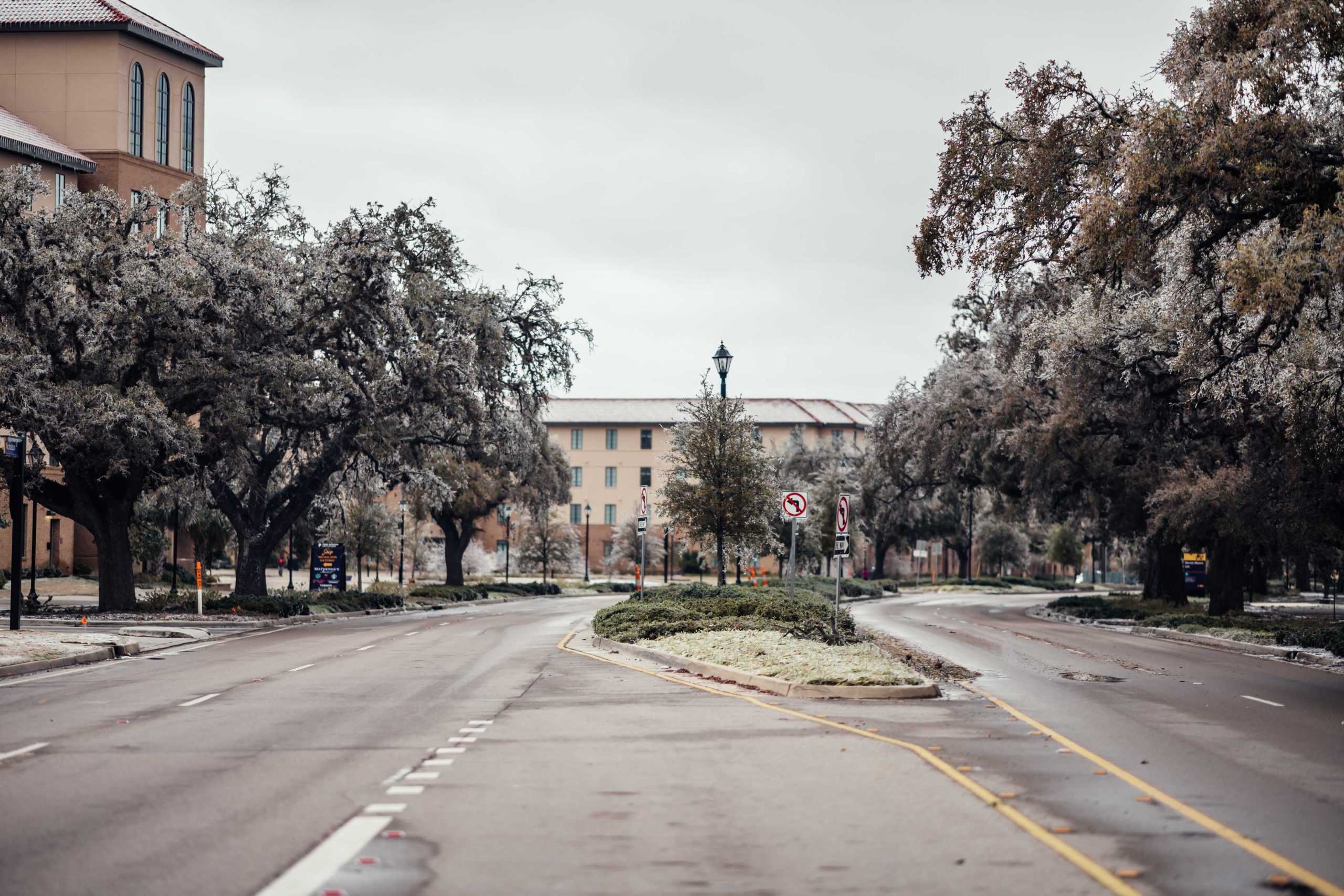 PHOTOS: LSU cancels school Monday due to winter weather mix