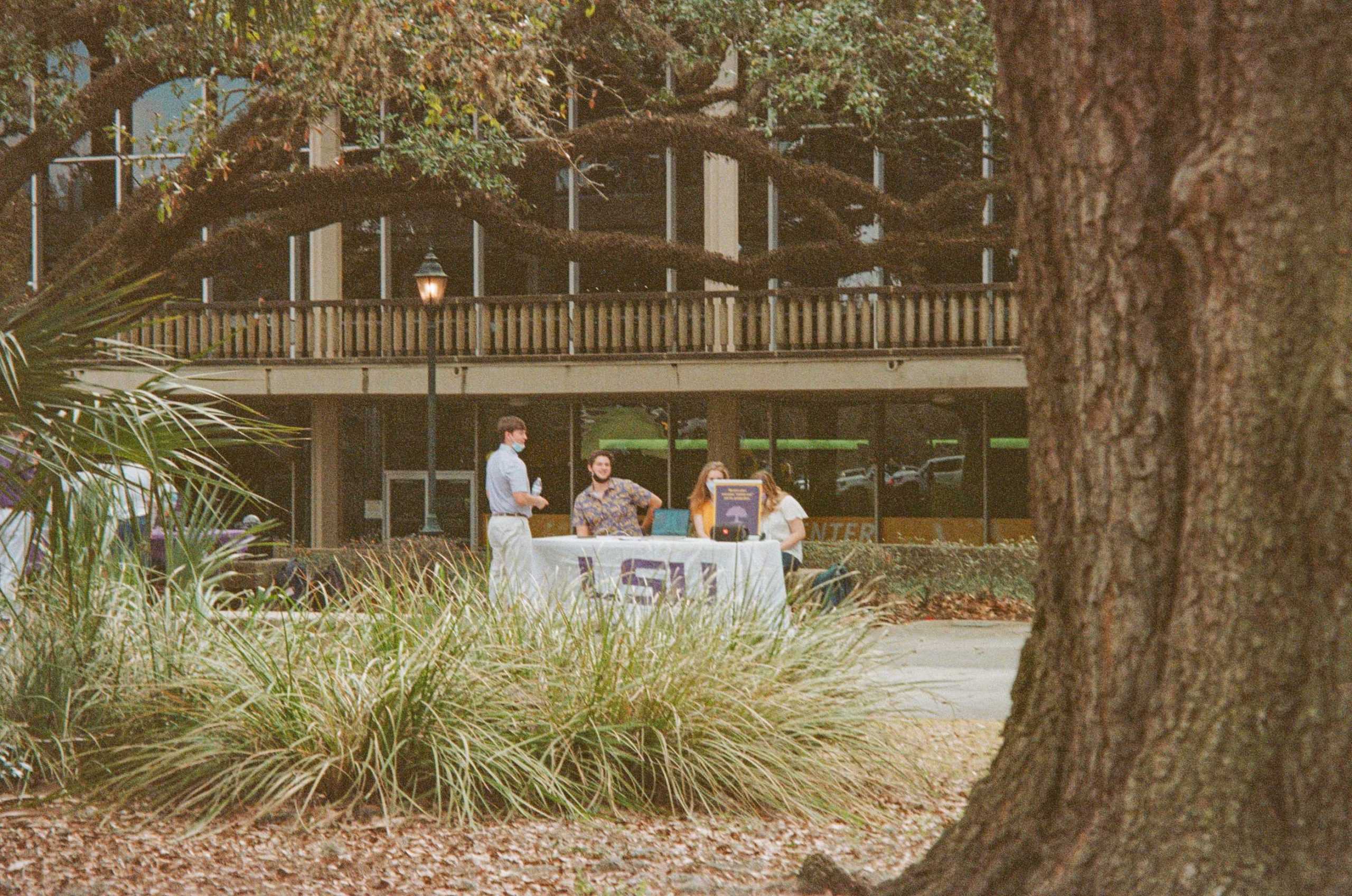 PHOTOS: Analog LSU