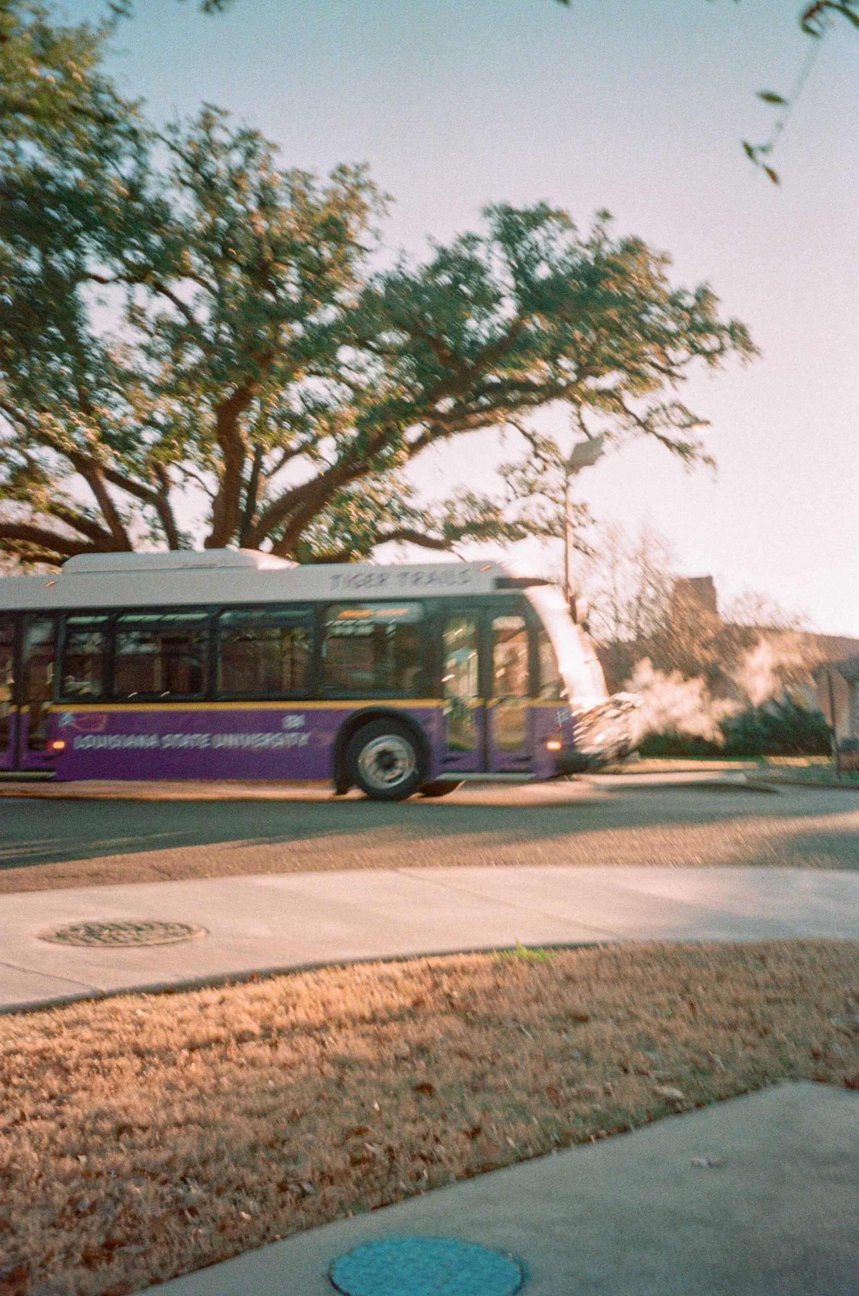 PHOTOS: Analog LSU