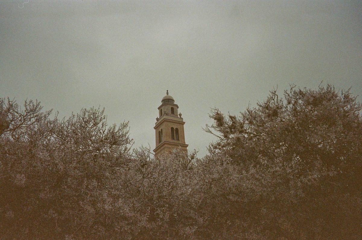 Ice encases the branches of trees on Feb. 15, 2021 near Memorial Tower.