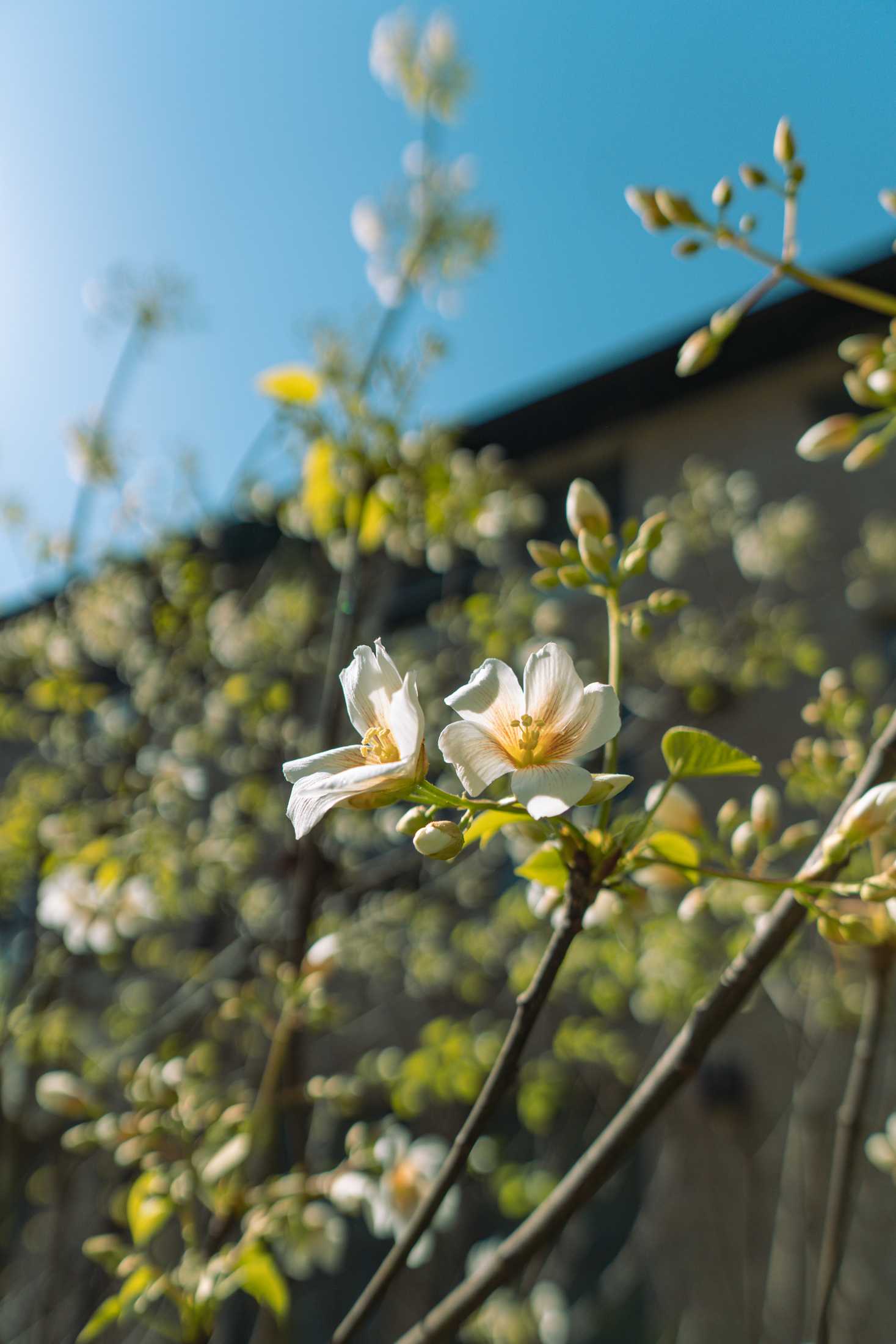 PHOTOS: Springtime at LSU