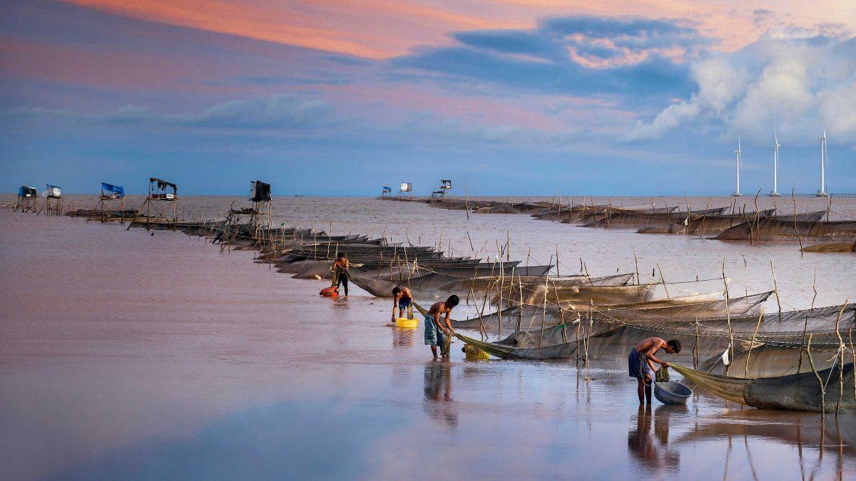 Ocean warming could disrupt marine life ecosystems and have negative effects on coastal communities that rely on fisheries.