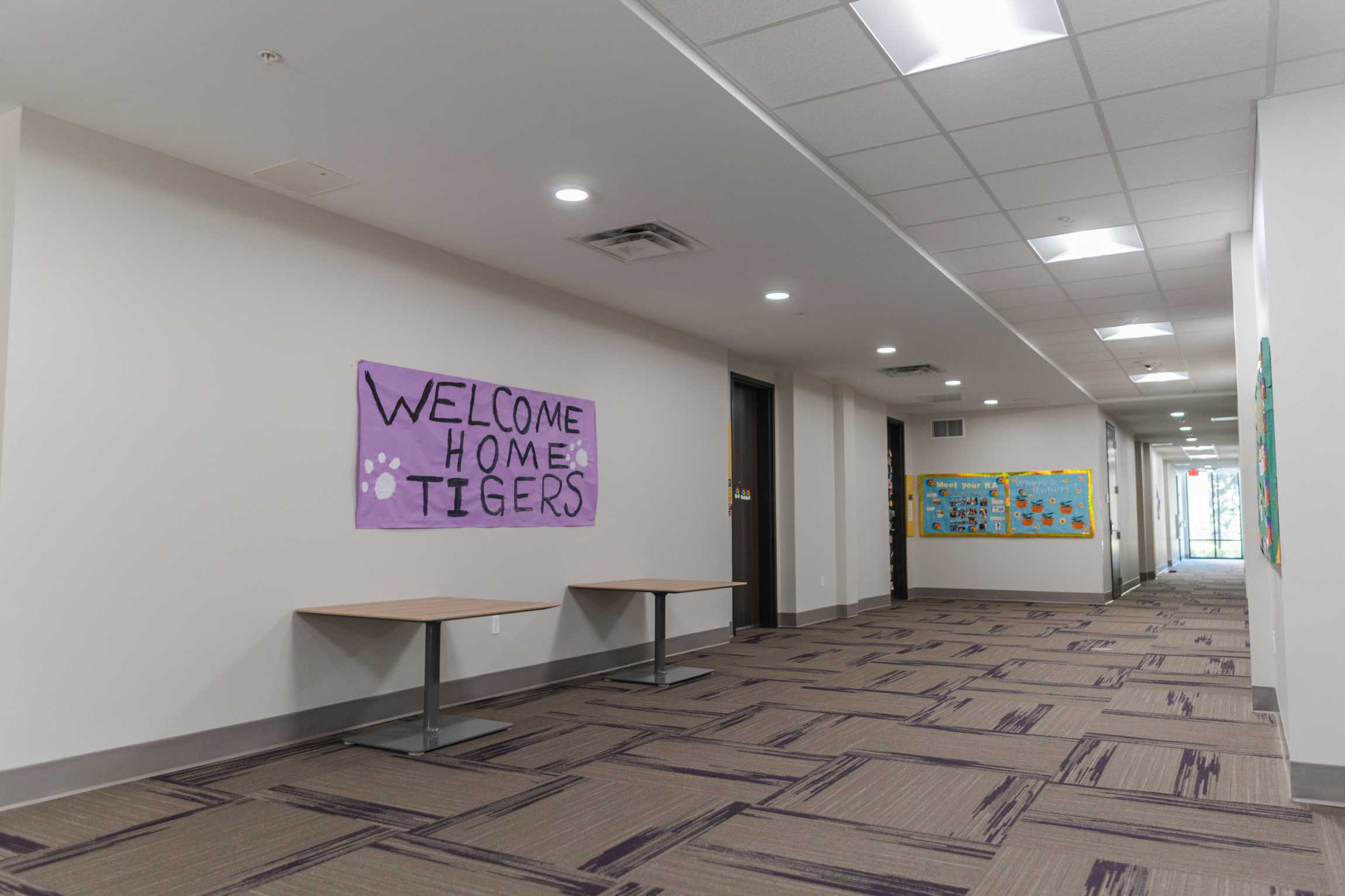 LSU's Greenhouse District: Everything you need to know about the new residence halls