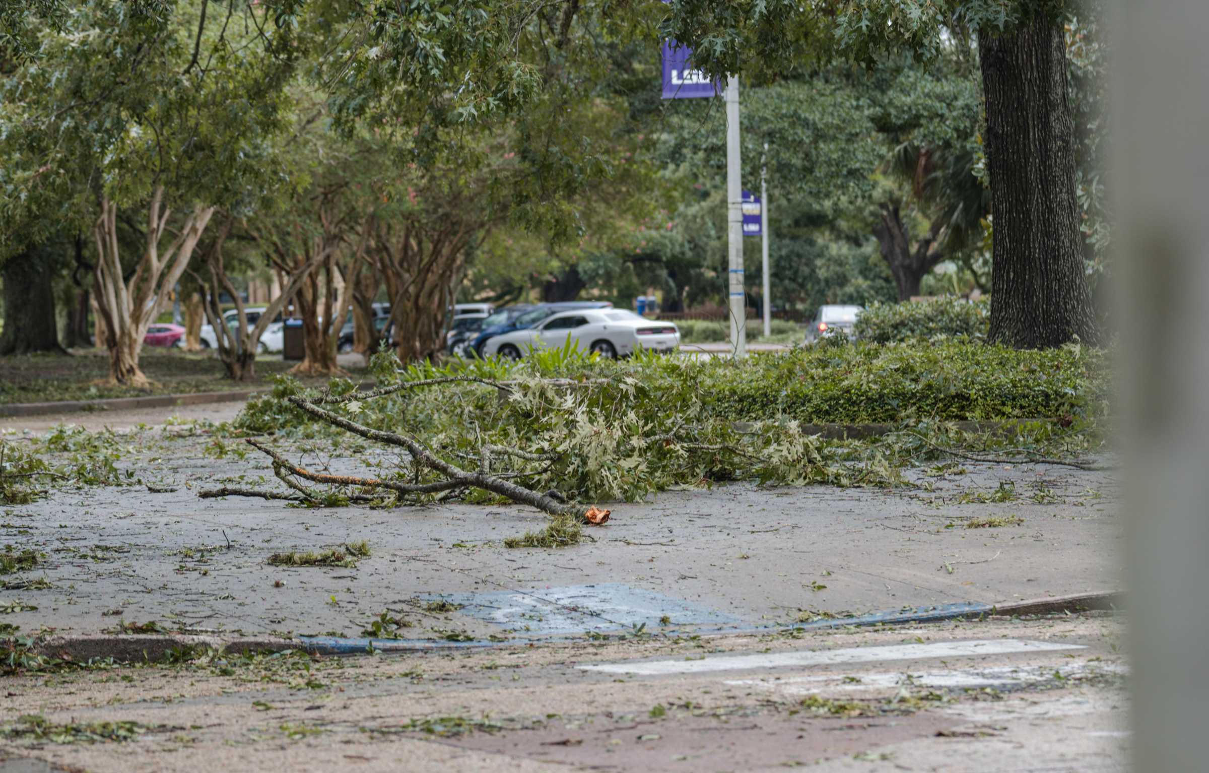 PHOTOS: Hurricane Ida hits LSU campus, causes less damage than expected