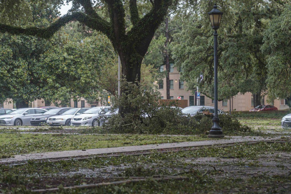 A pile of fallen branches sit Monday, Aug. 30, 2021, the morning after Hurricane Ida struck Southern Louisiana, by the East Campus Apartments on Veterans Drive.