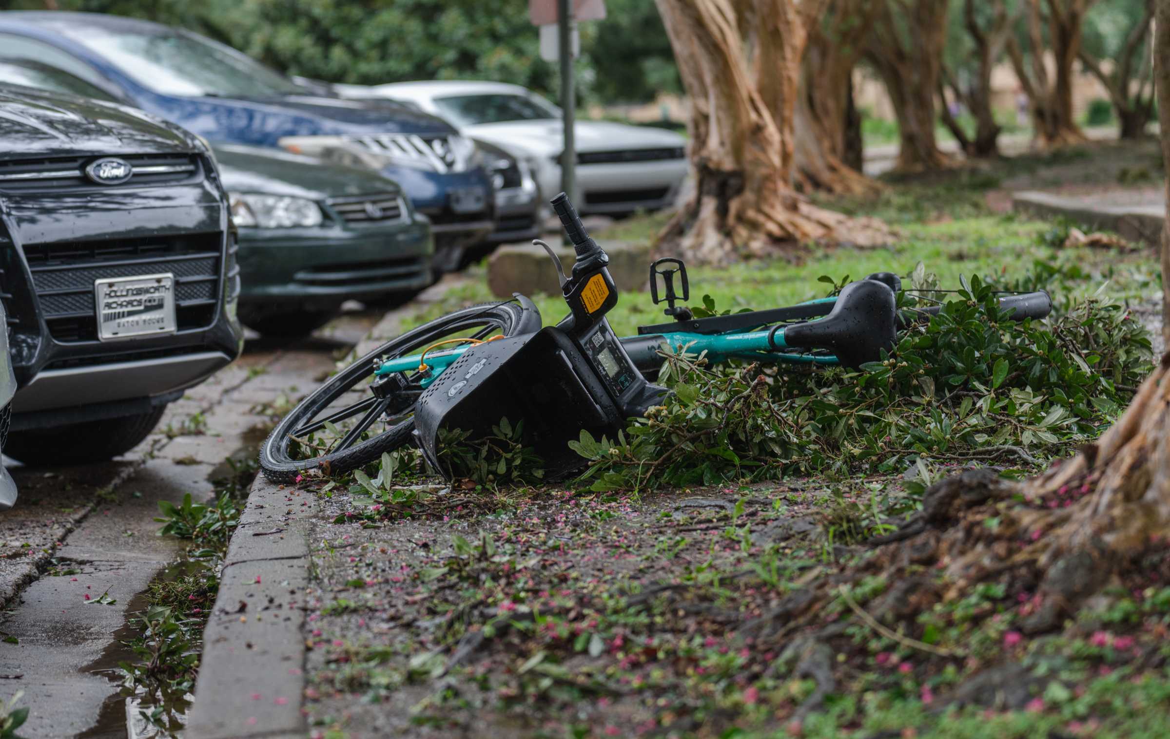 LSU campus sustains minimal damage after Hurricane Ida, stark difference from rest of state