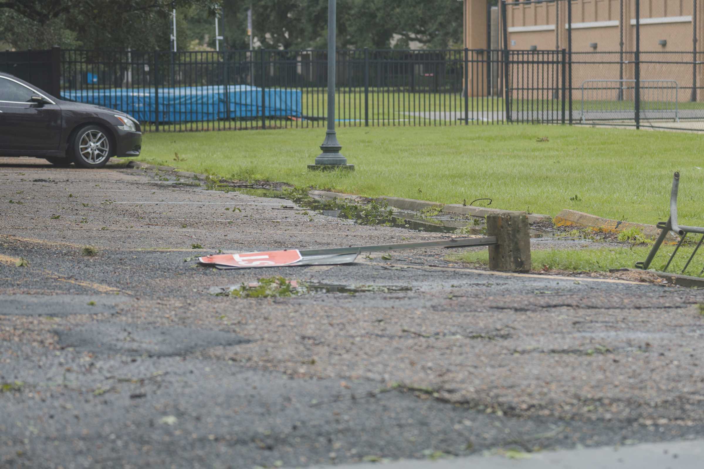 PHOTOS: Hurricane Ida hits LSU campus, causes less damage than expected