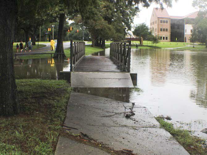 Flooding near Campus Drive makes its way into the streets on Saturday, Aug. 13, 2016, around LSU campus.