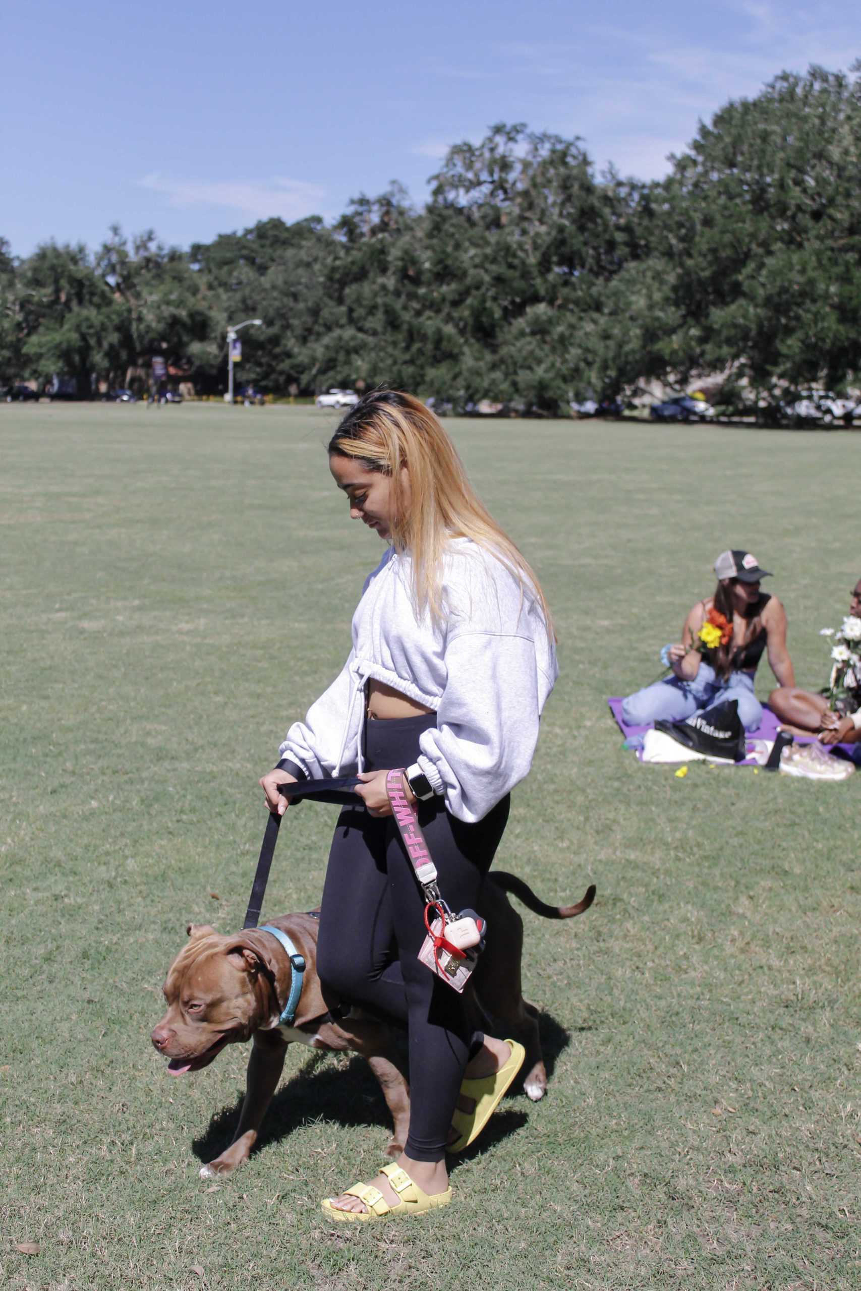 PHOTOS: Getting a glimpse into campus life at LSU