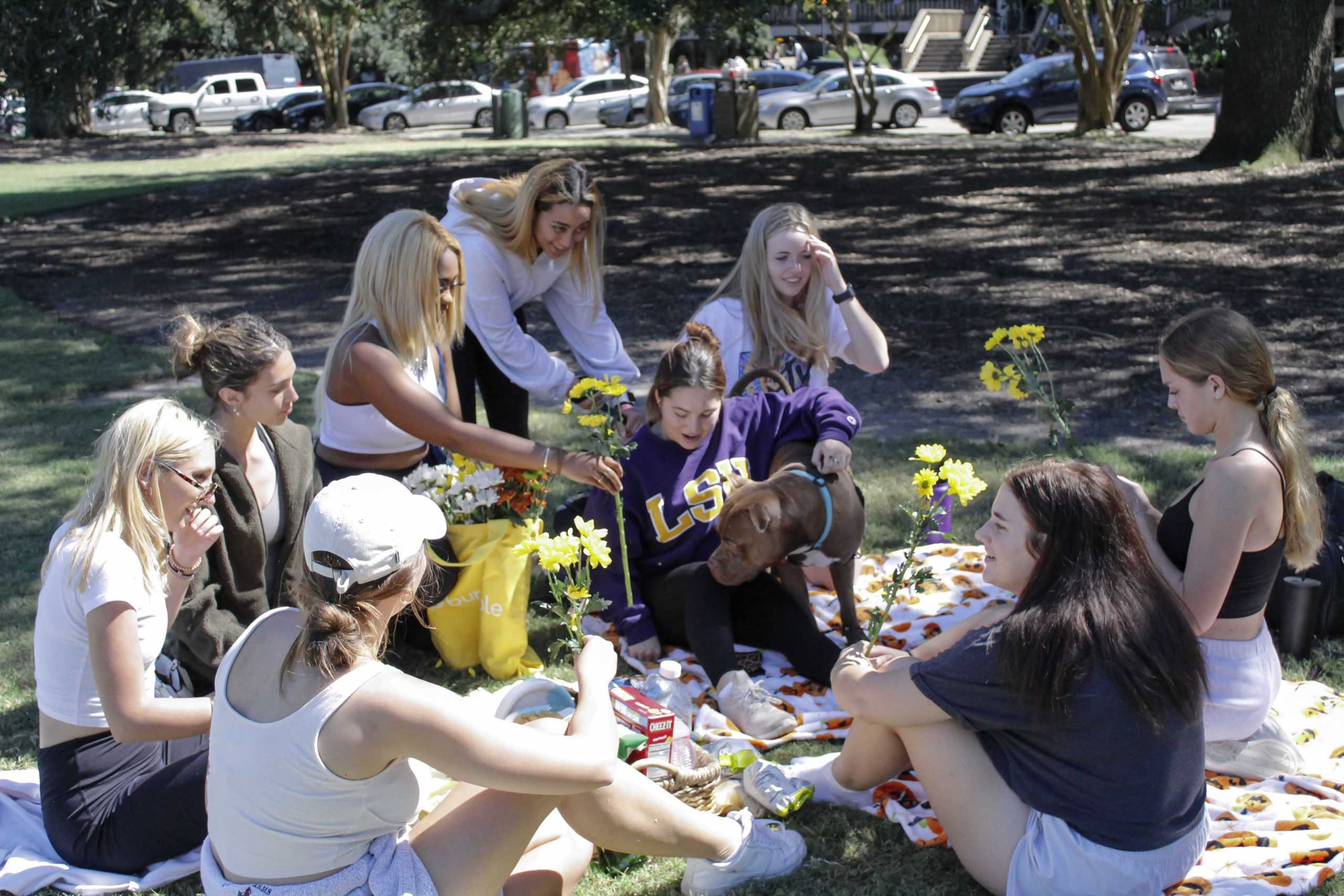 PHOTOS: Getting a glimpse into campus life at LSU