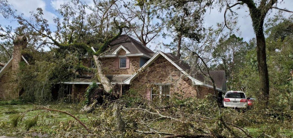 A house in Houma is destroyed by a fallen tree, in the aftermath of Hurricane Ida. Courtesy Conrad Richard