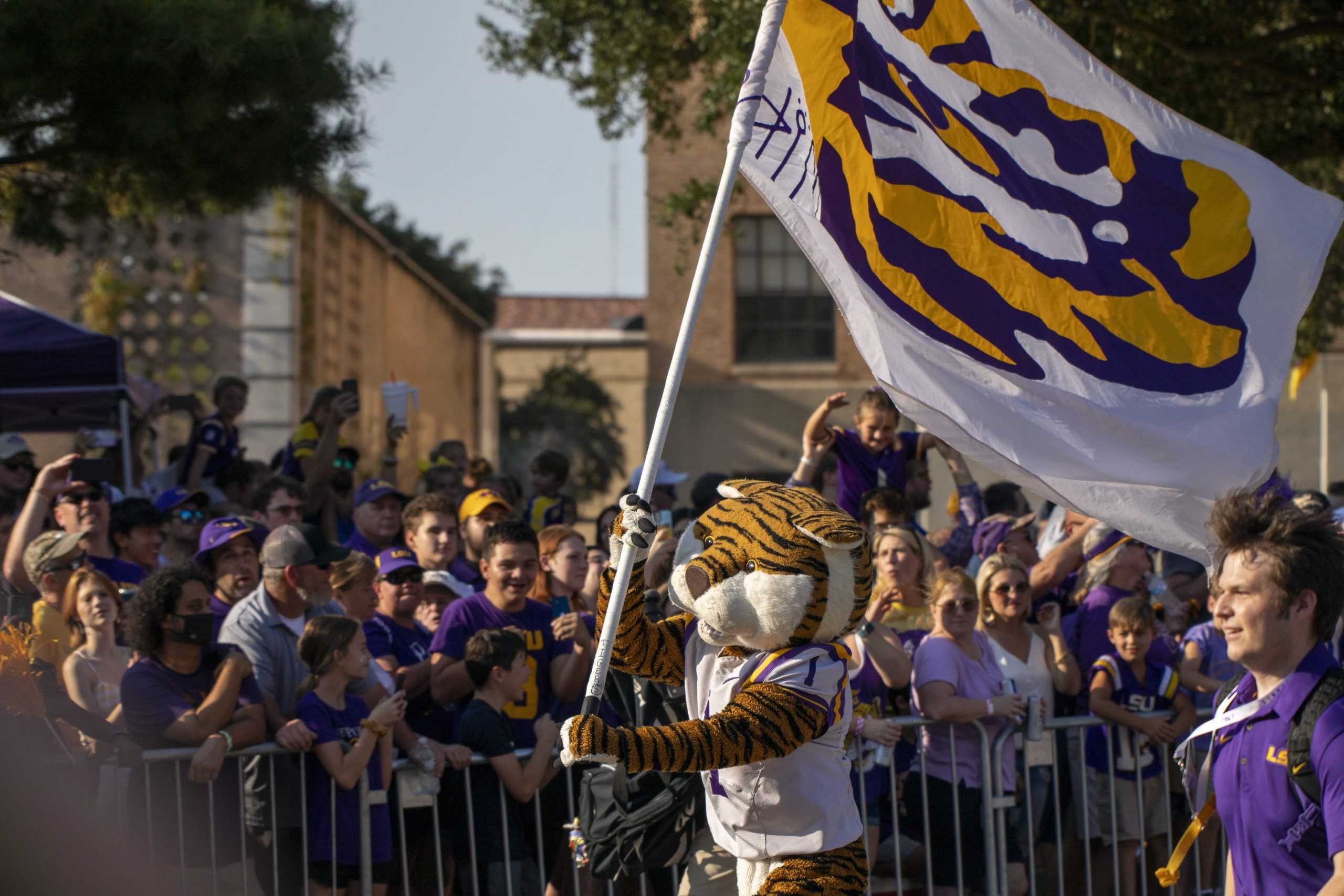 PHOTOS: LSU marches down Victory Hill before football game against McNeese