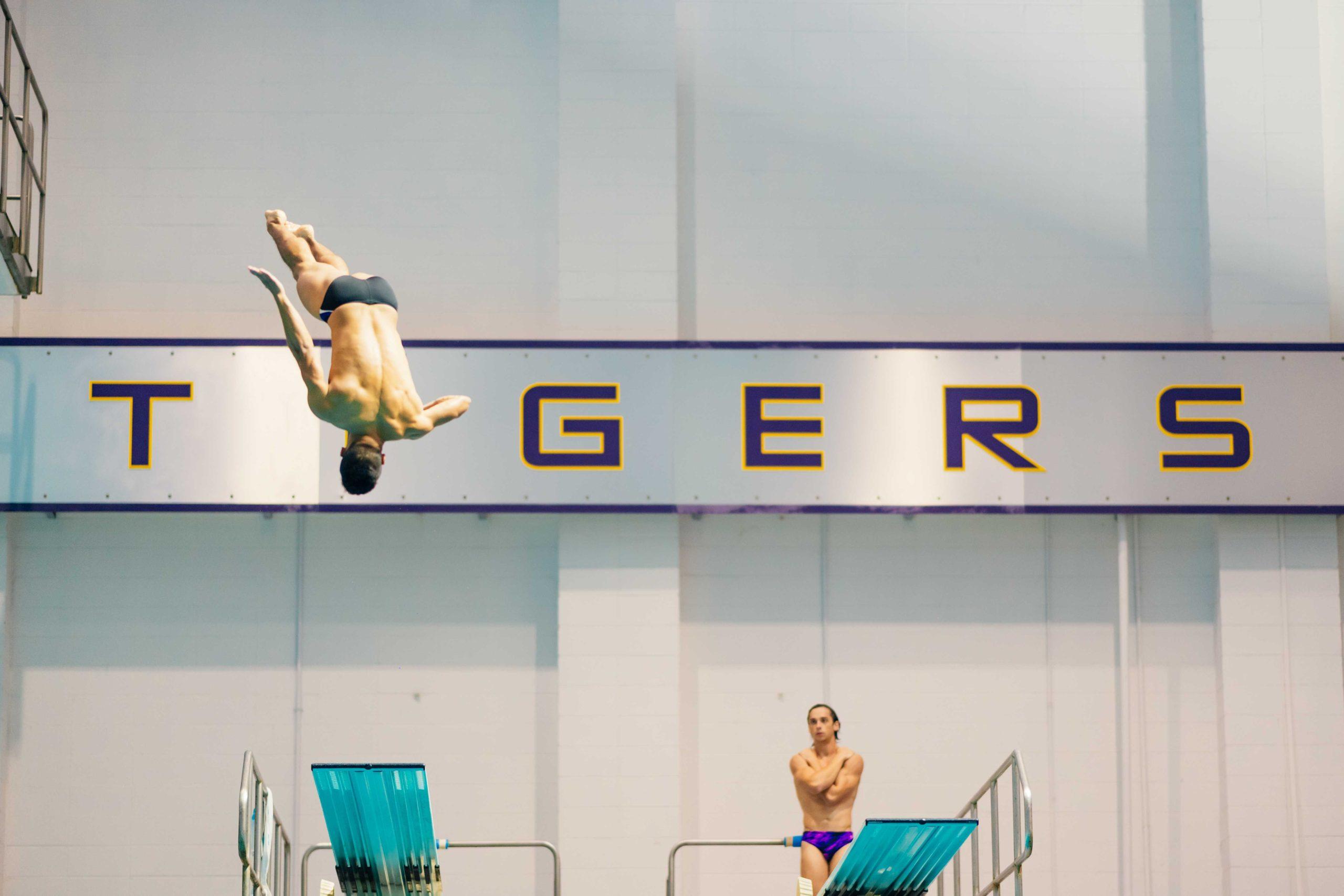 PHOTOS: LSU swimming and diving defeats Grand Canyon University