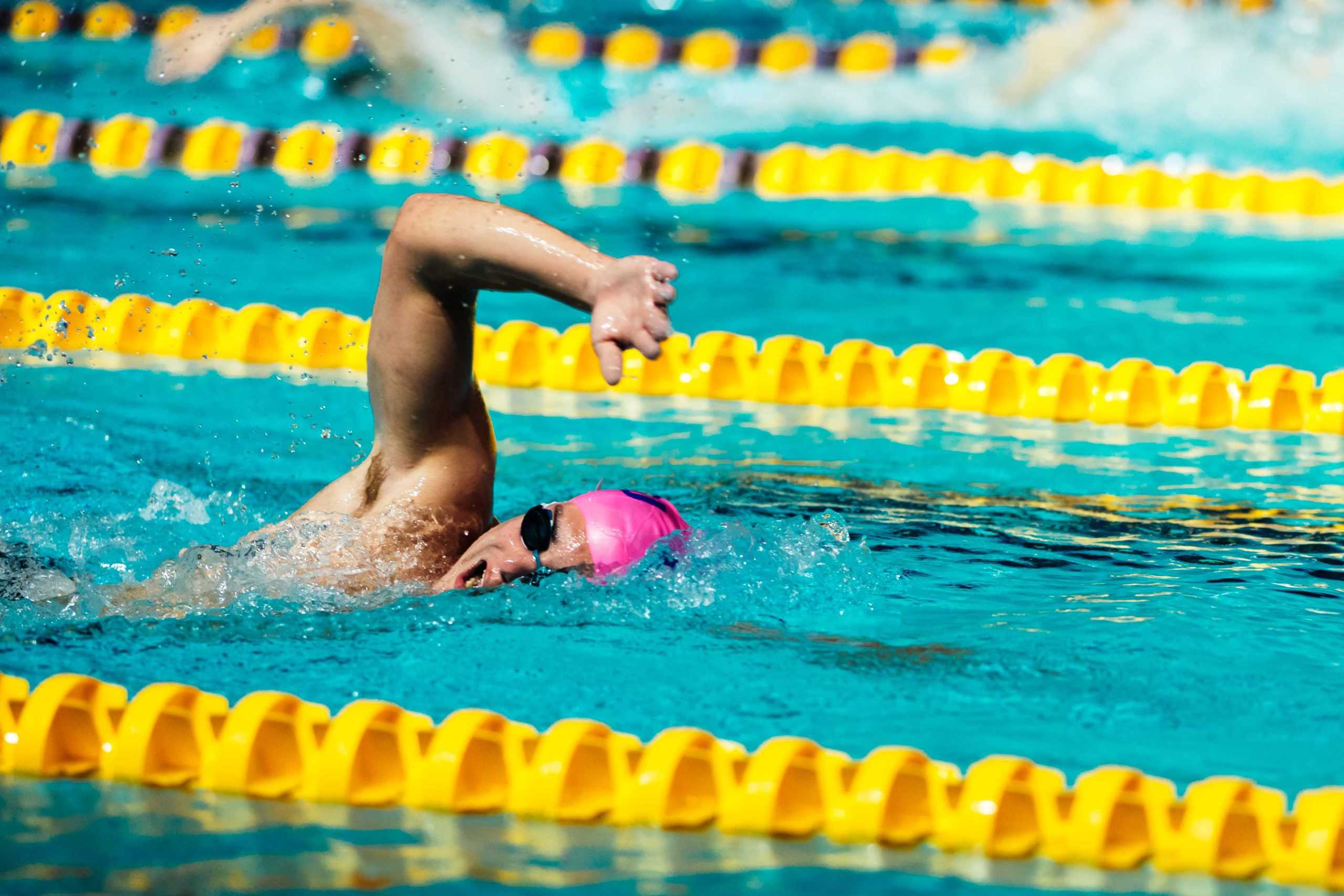 PHOTOS: LSU swimming and diving defeats Grand Canyon University