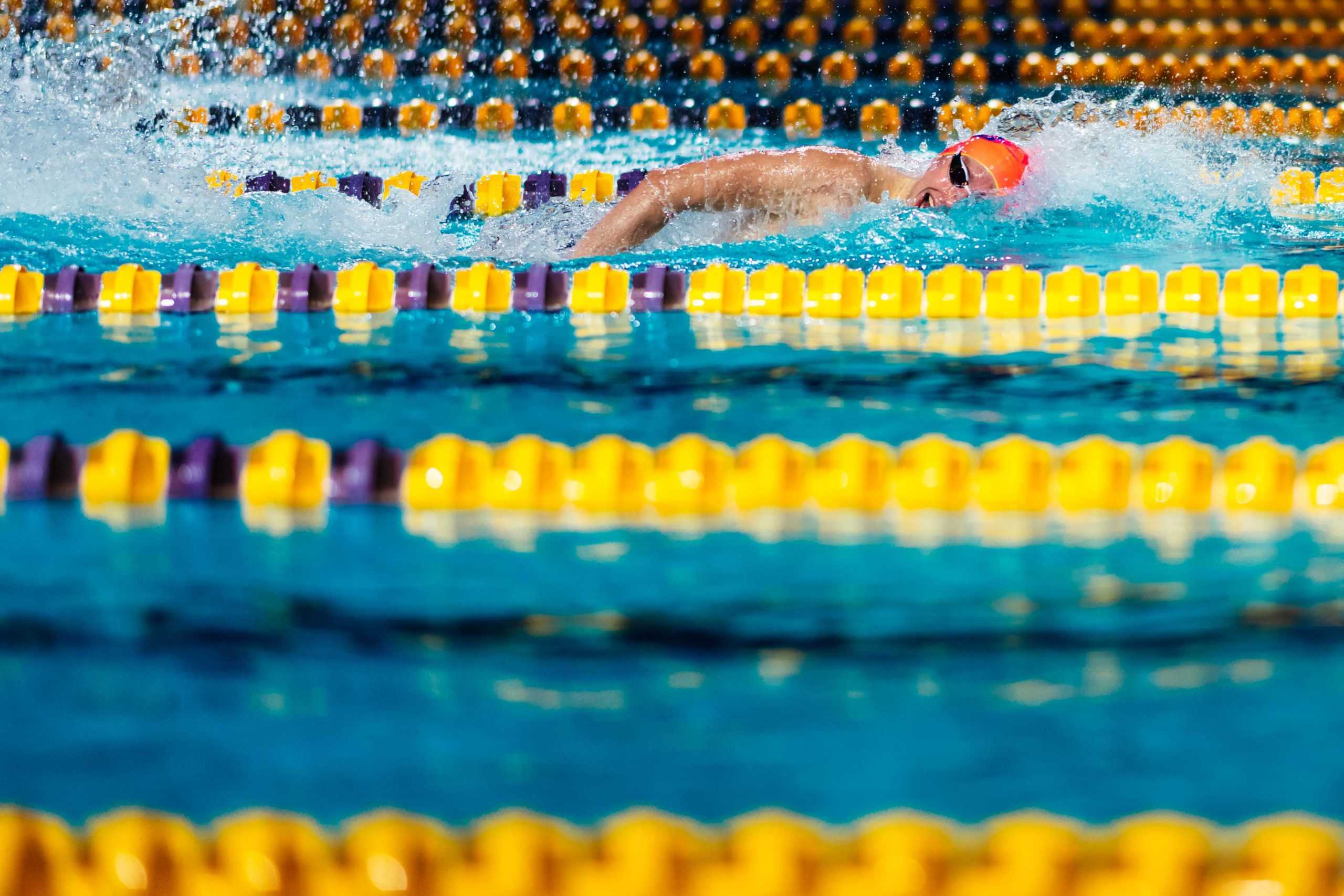 PHOTOS: LSU swimming and diving defeats Grand Canyon University