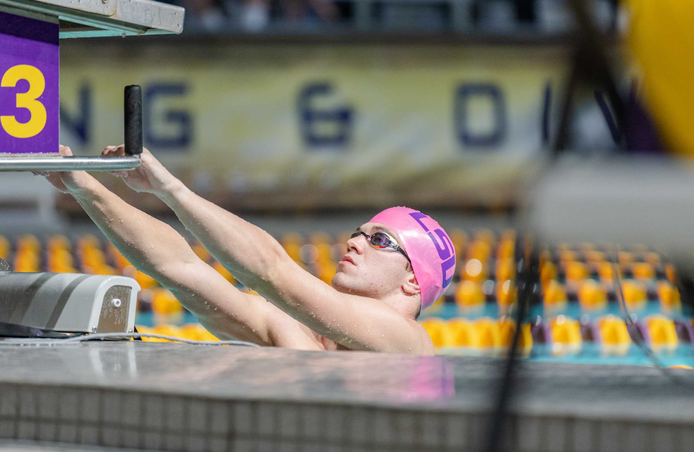 PHOTOS: LSU swimming and diving defeats Grand Canyon University