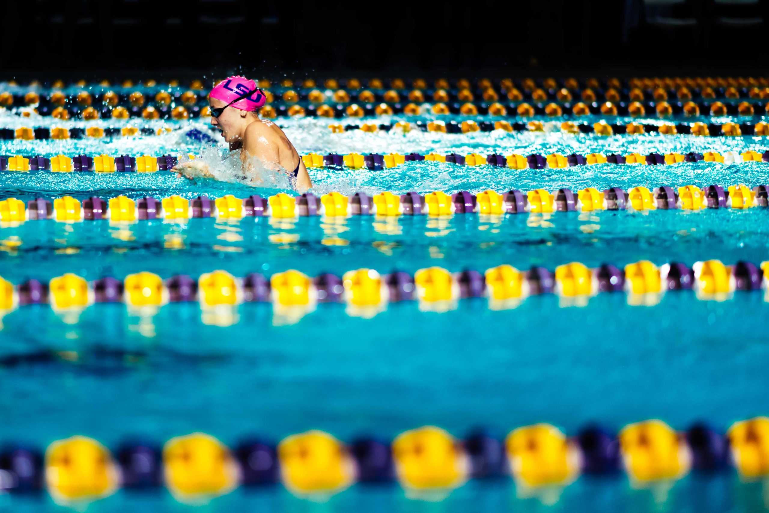 PHOTOS: LSU swimming and diving defeats Grand Canyon University