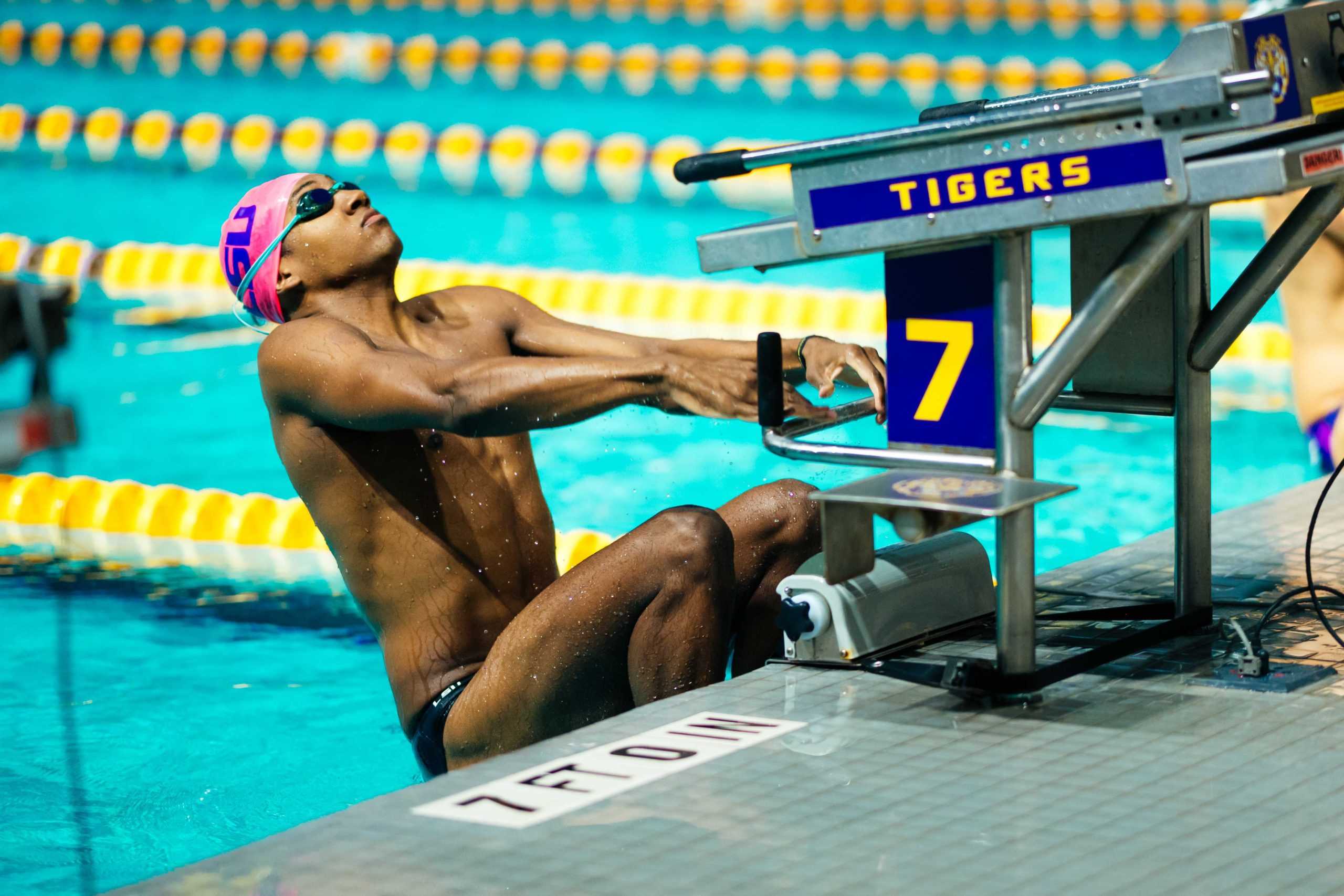 PHOTOS: LSU swimming and diving defeats Grand Canyon University