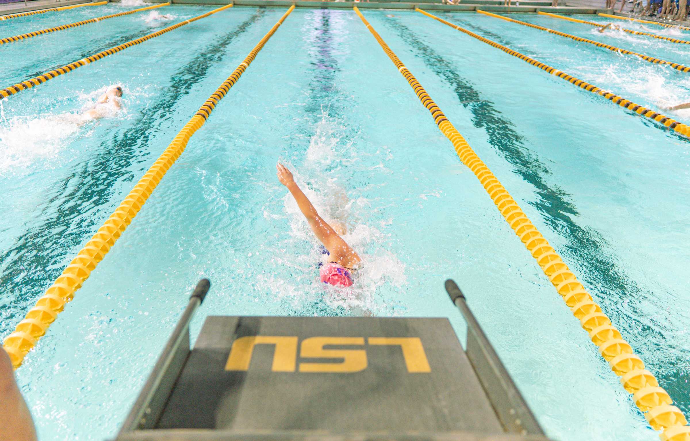 PHOTOS: LSU swimming and diving defeats Grand Canyon University