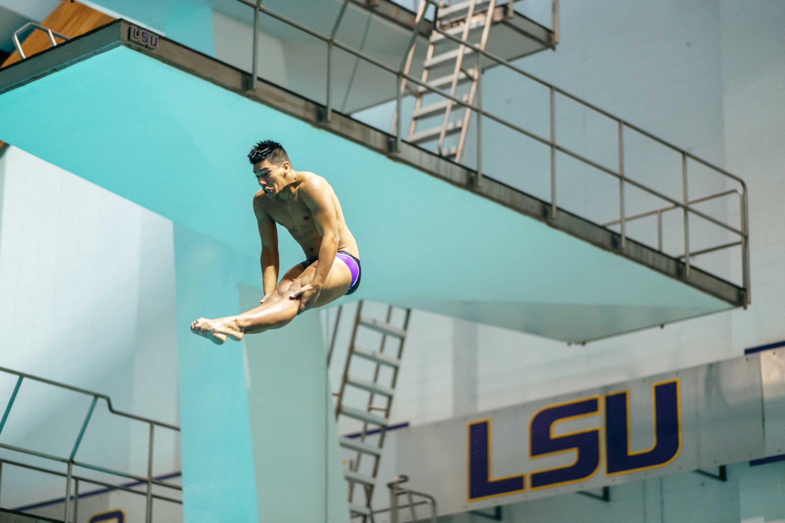 PHOTOS: LSU swimming and diving defeats Grand Canyon University