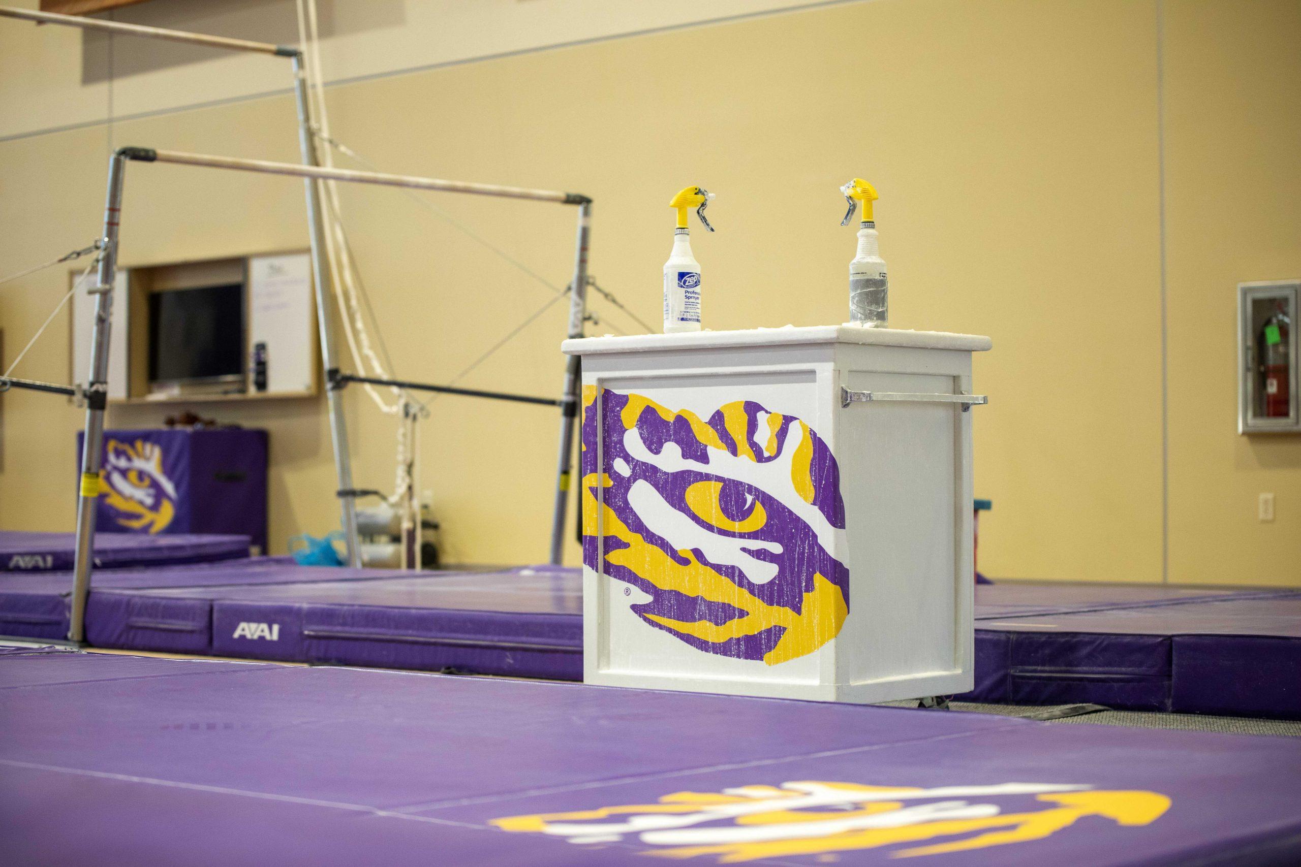 PHOTOS: LSU gymnastics holds preseason practice