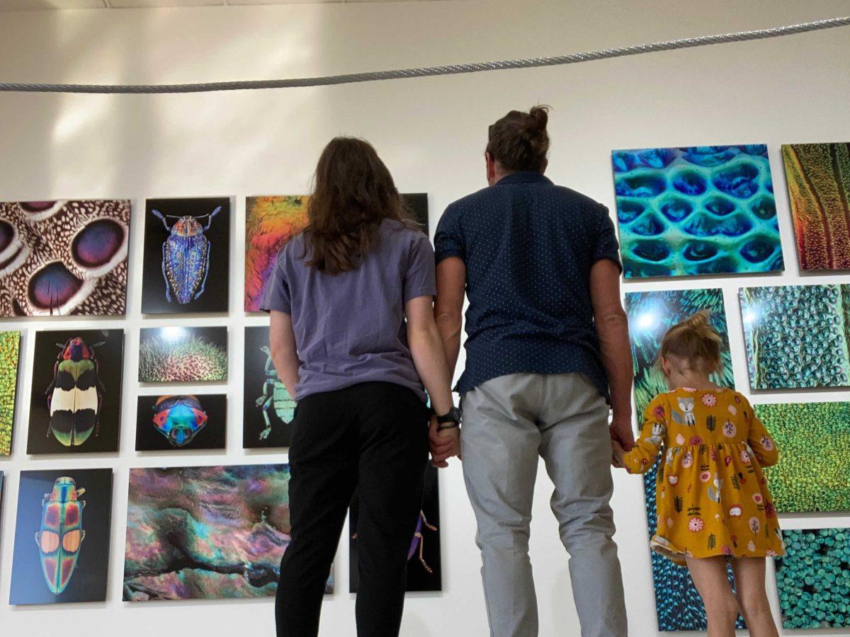 Museumgoers visit "Iridescence" at the Louisiana Art and Science Museum on Nov. 1, 2021.