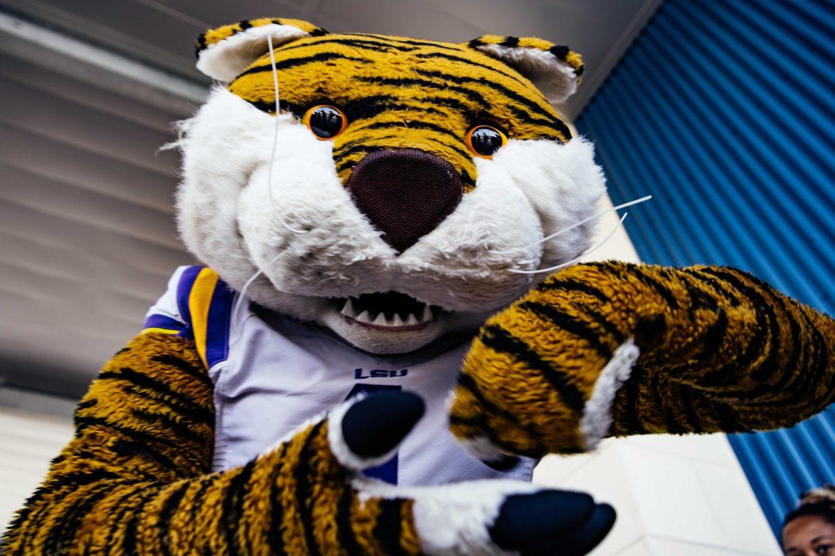 LSU football mascot Mike the Tiger poses for the camera Tuesday, Nov. 30, 2021, before recently hired football head coach Brian Kelly lands at the BTR Jet Center located in the Baton Rouge Metropolitan Airport on 4490 Blanche Noyes Avenue in Baton Rouge, La.