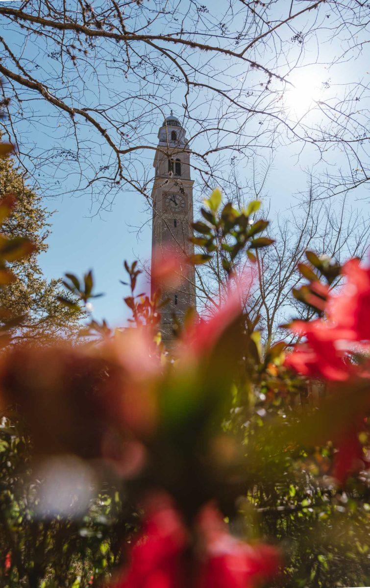 Memorial Tower stands tall on March 21, 2021 surrounded by flowers and other plants on LSU&#8217;s campus.