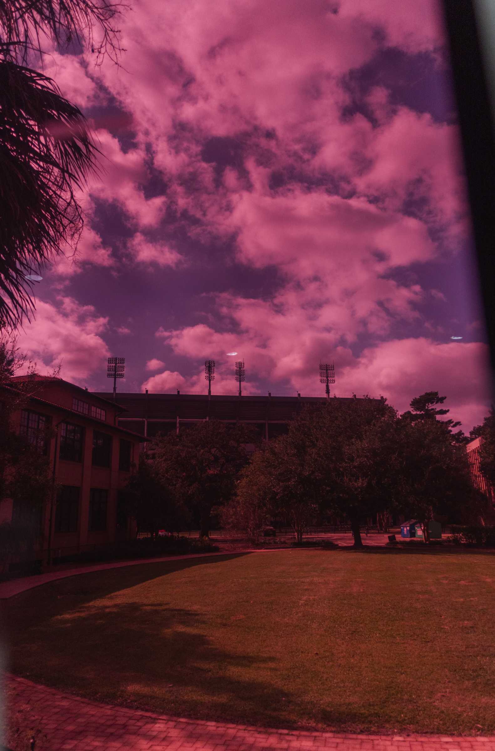 PHOTOS: Keeping the Quirks: A unique perspective of LSU's campus