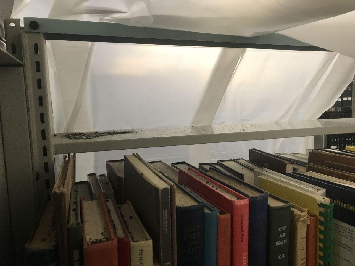 A shelf of books is coated in debris Jan. 18, 2022, in the LSU Library.