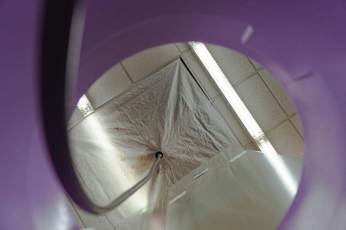 A tube leads into a garbage can on Tuesday, Jan. 18, 2022, to collect any water leaking from the roof of the LSU Library in Baton Rouge, La.